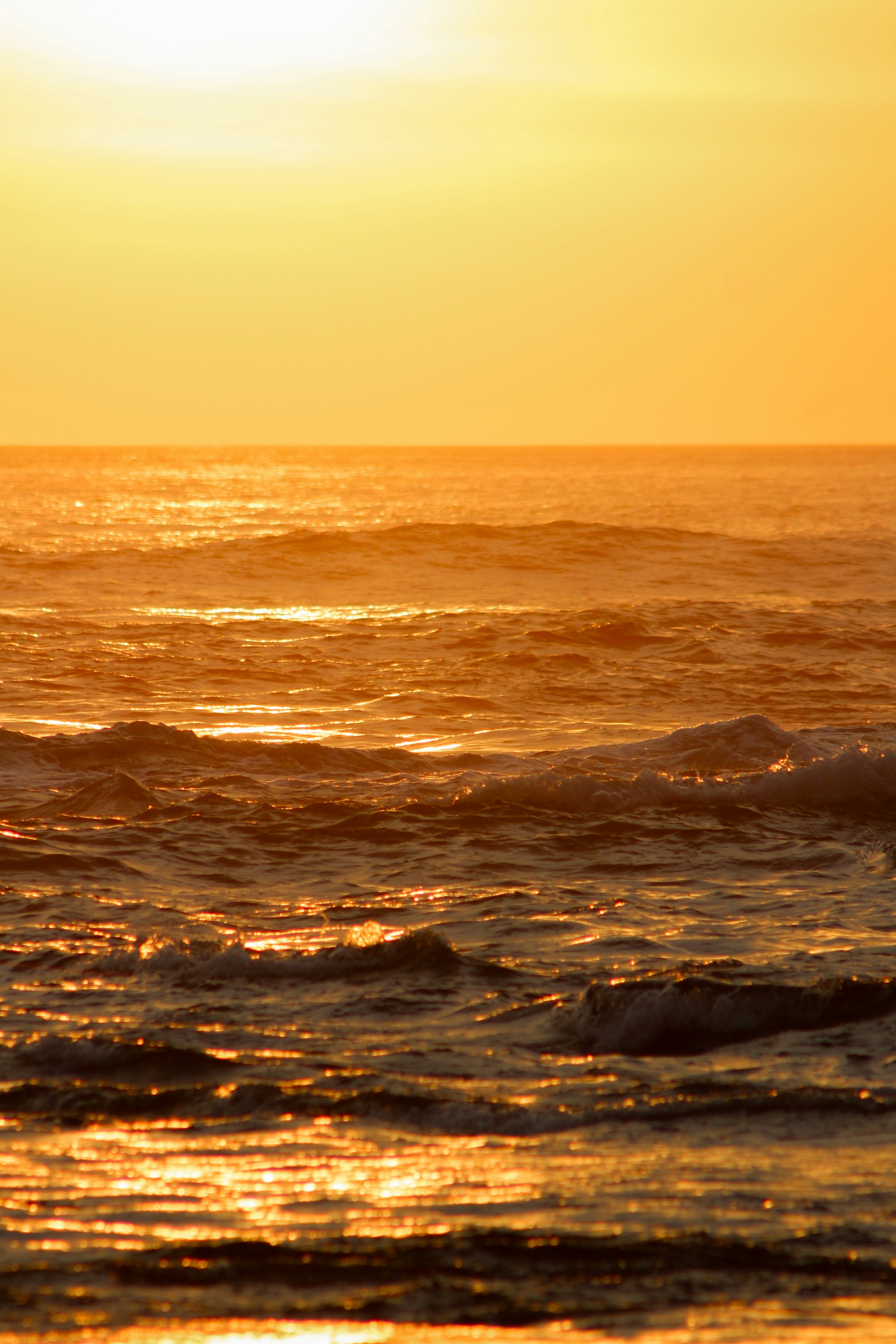 Photo by zoeeefitzgerald