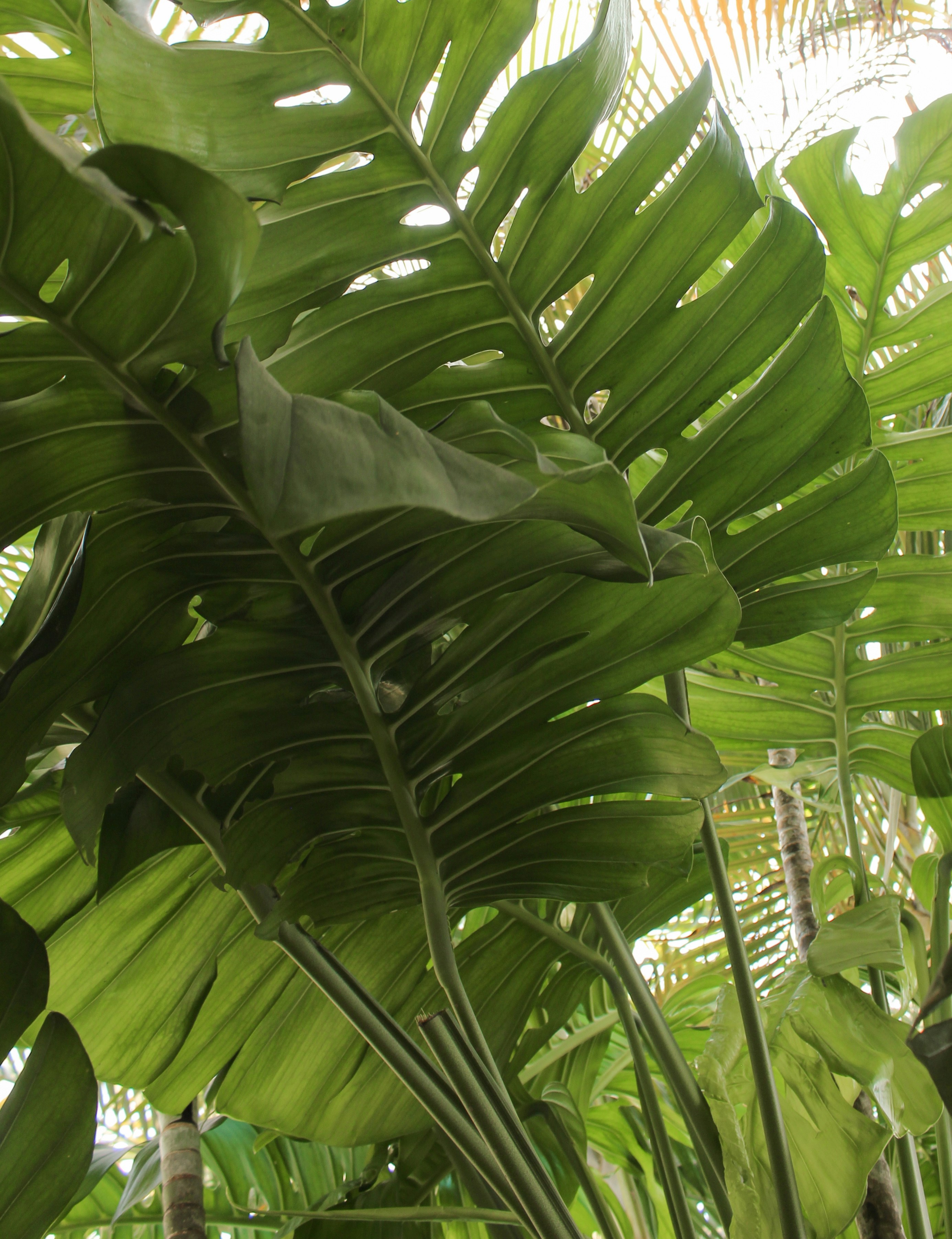 Photo by zoeeefitzgerald