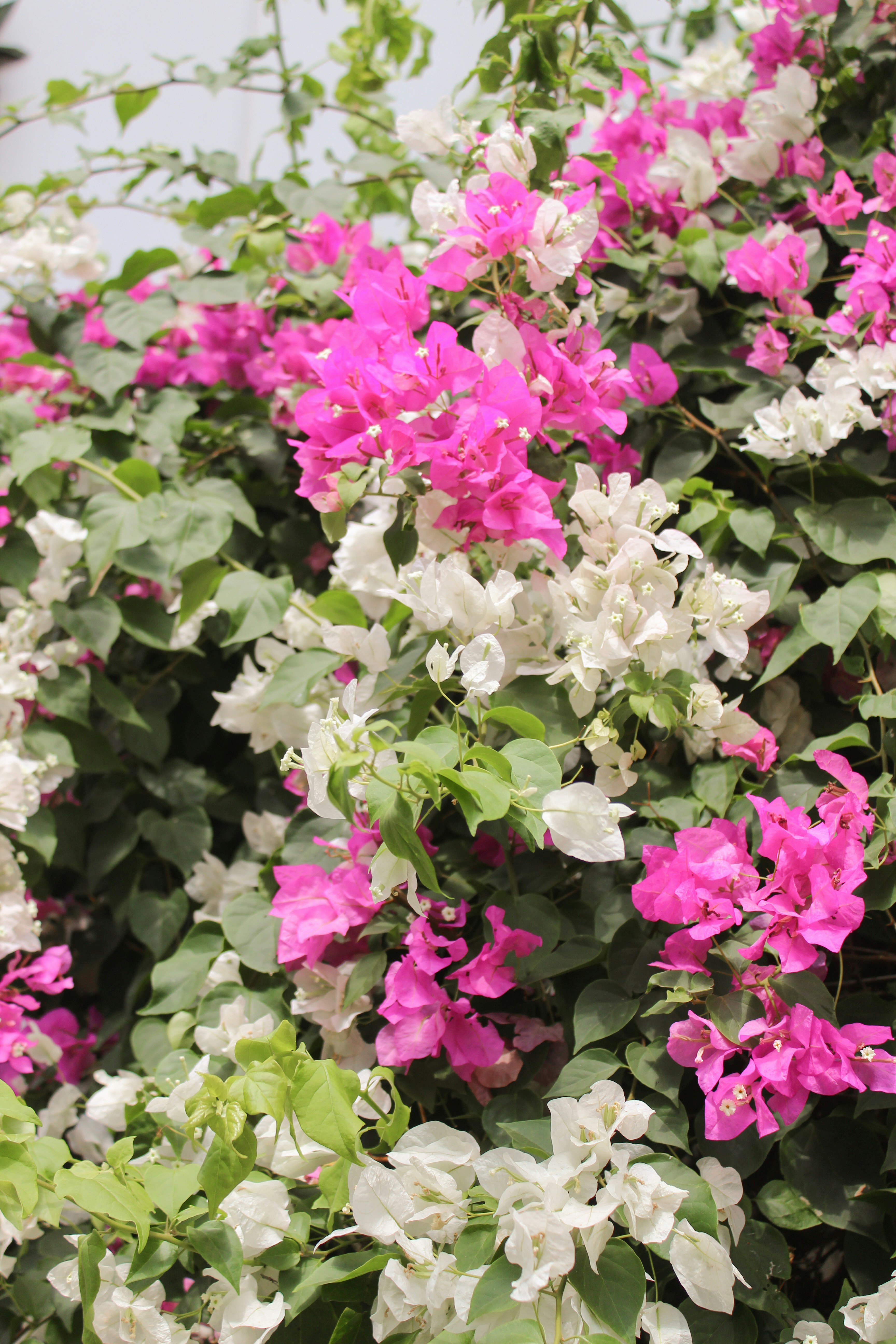 Photo by zoeeefitzgerald