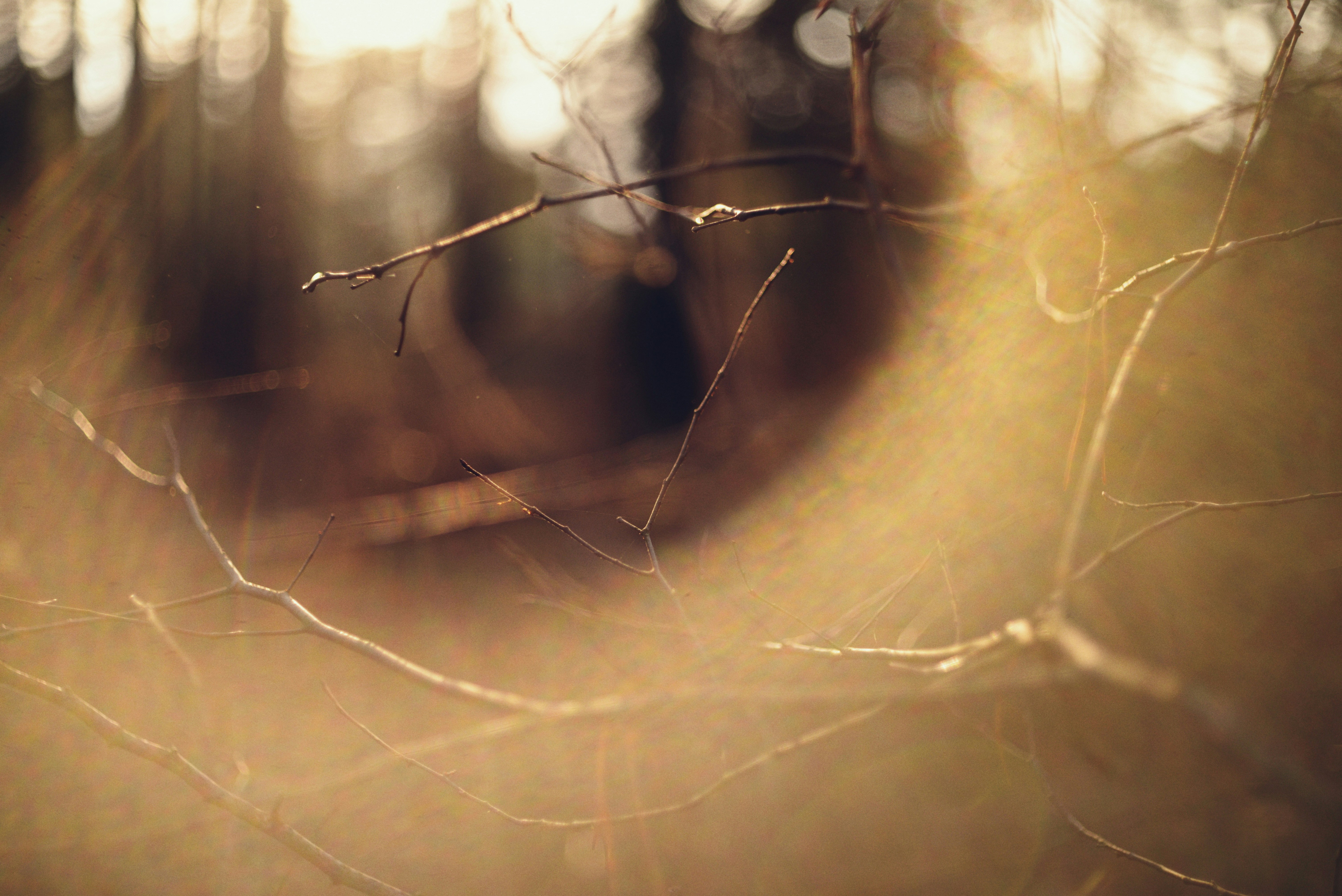 Photo by cherstve_pechivo