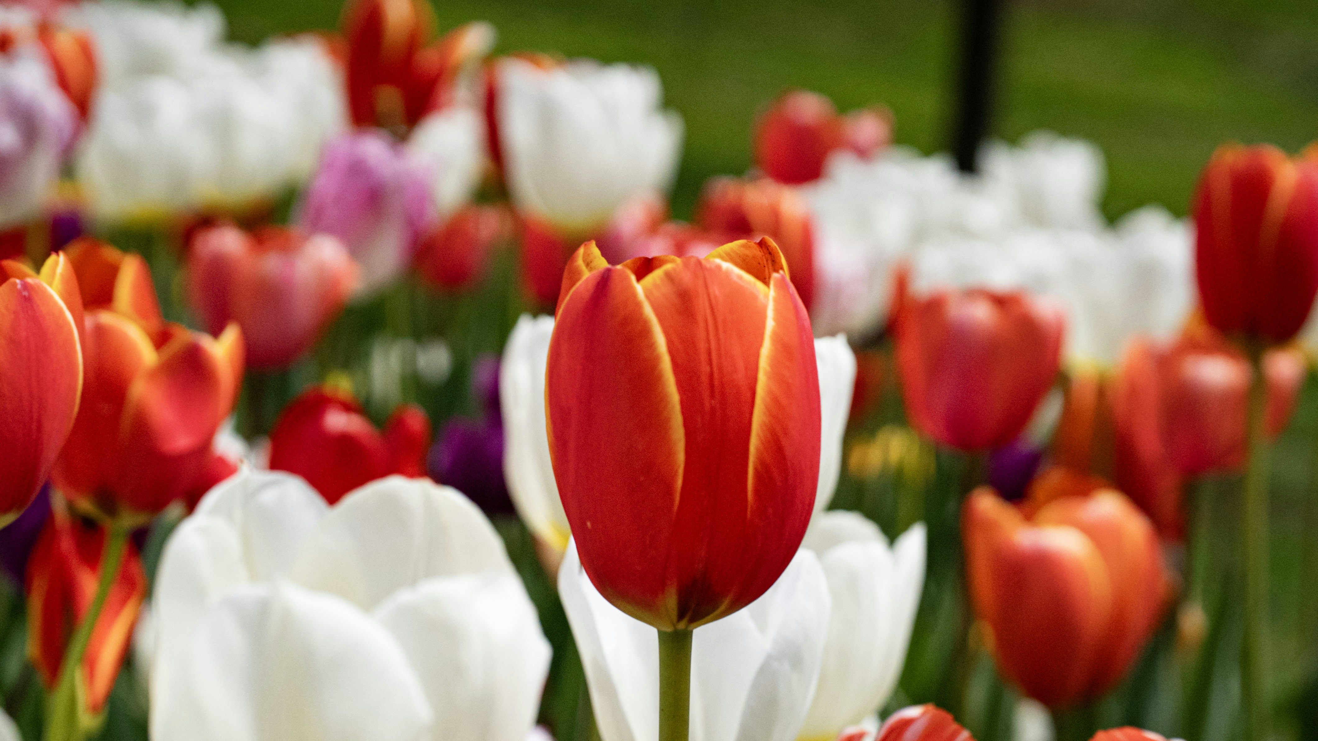 Photo by mihaela_claudia_p