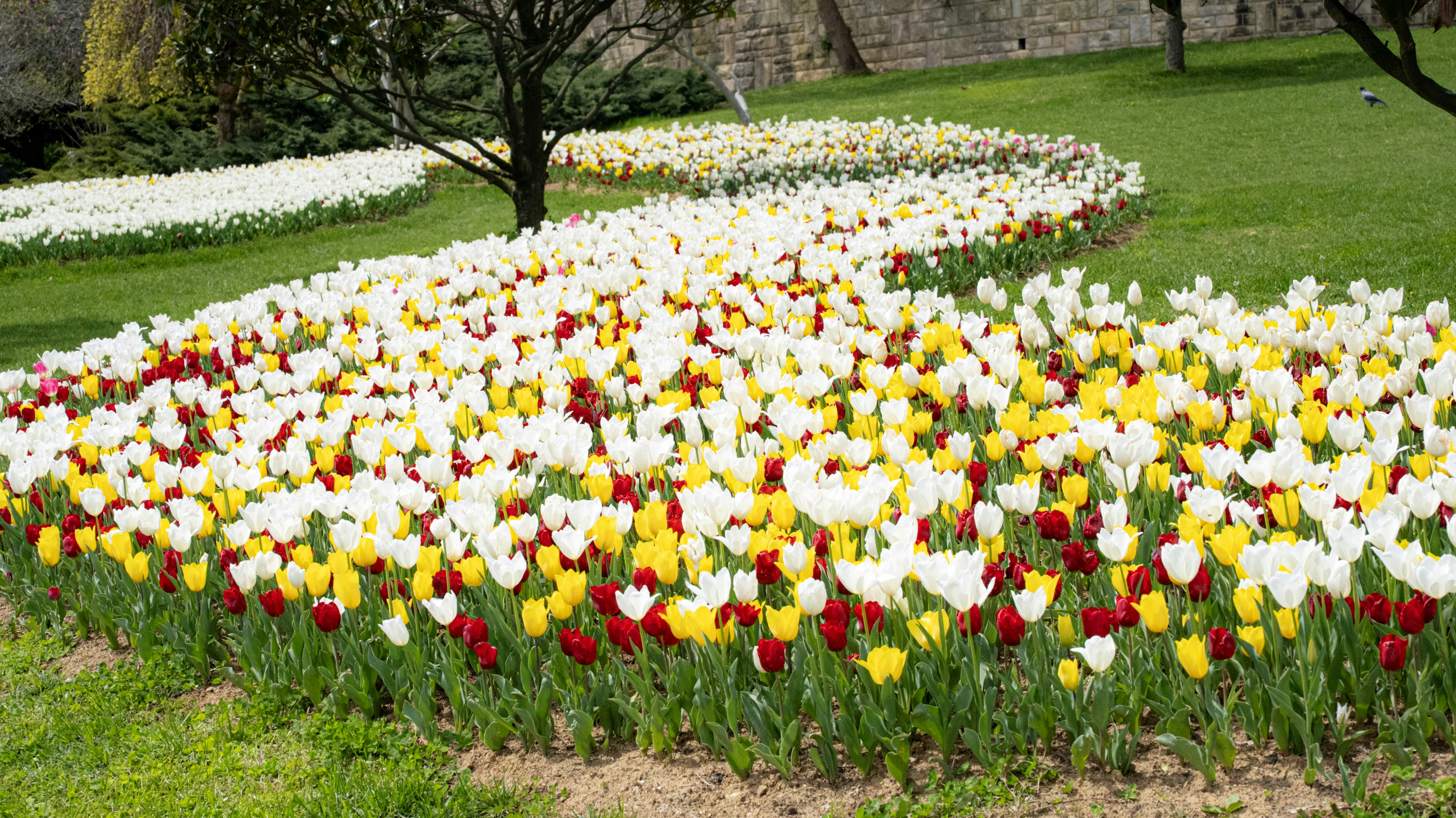 Photo by mihaela_claudia_p