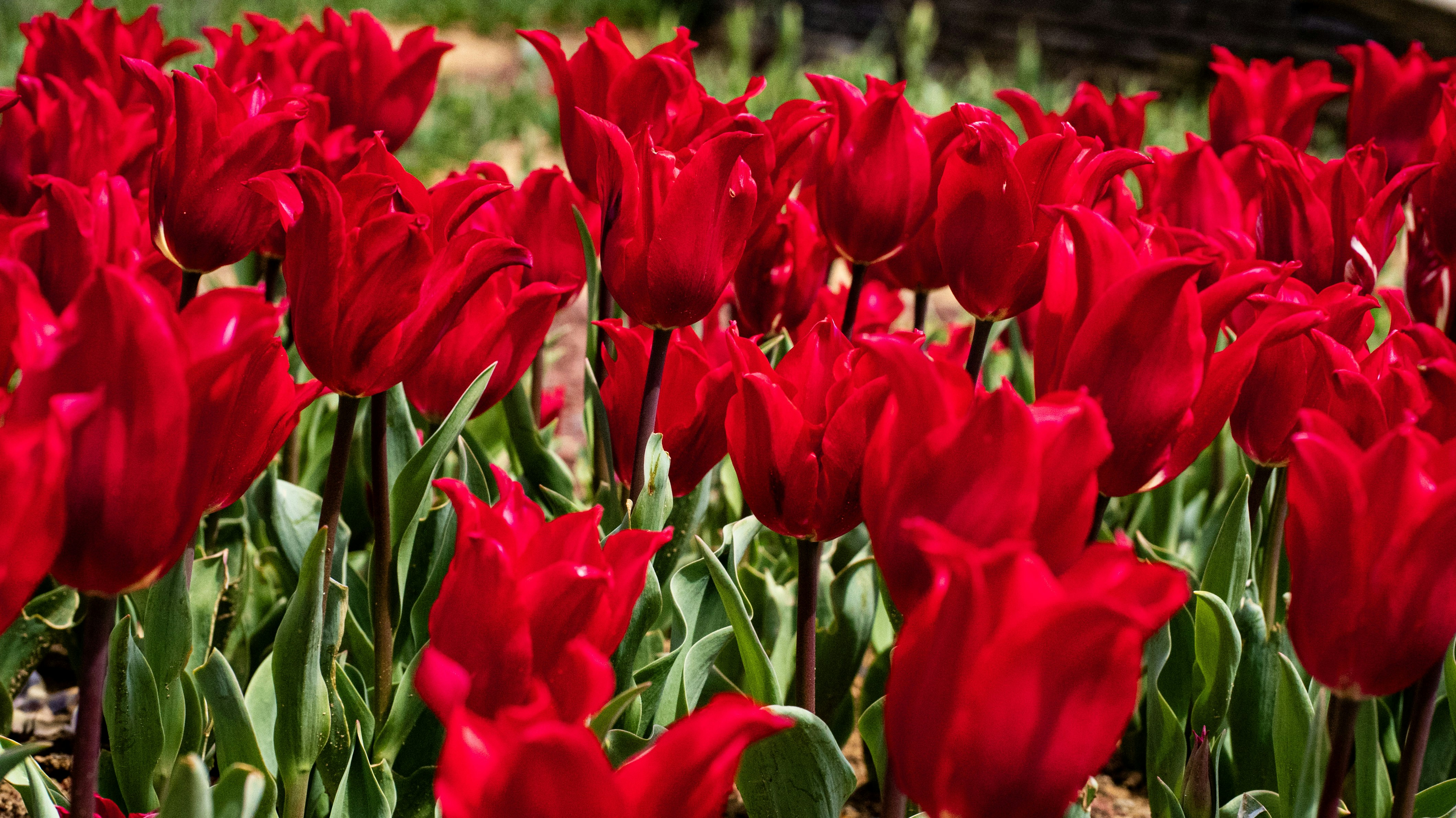 Photo by mihaela_claudia_p