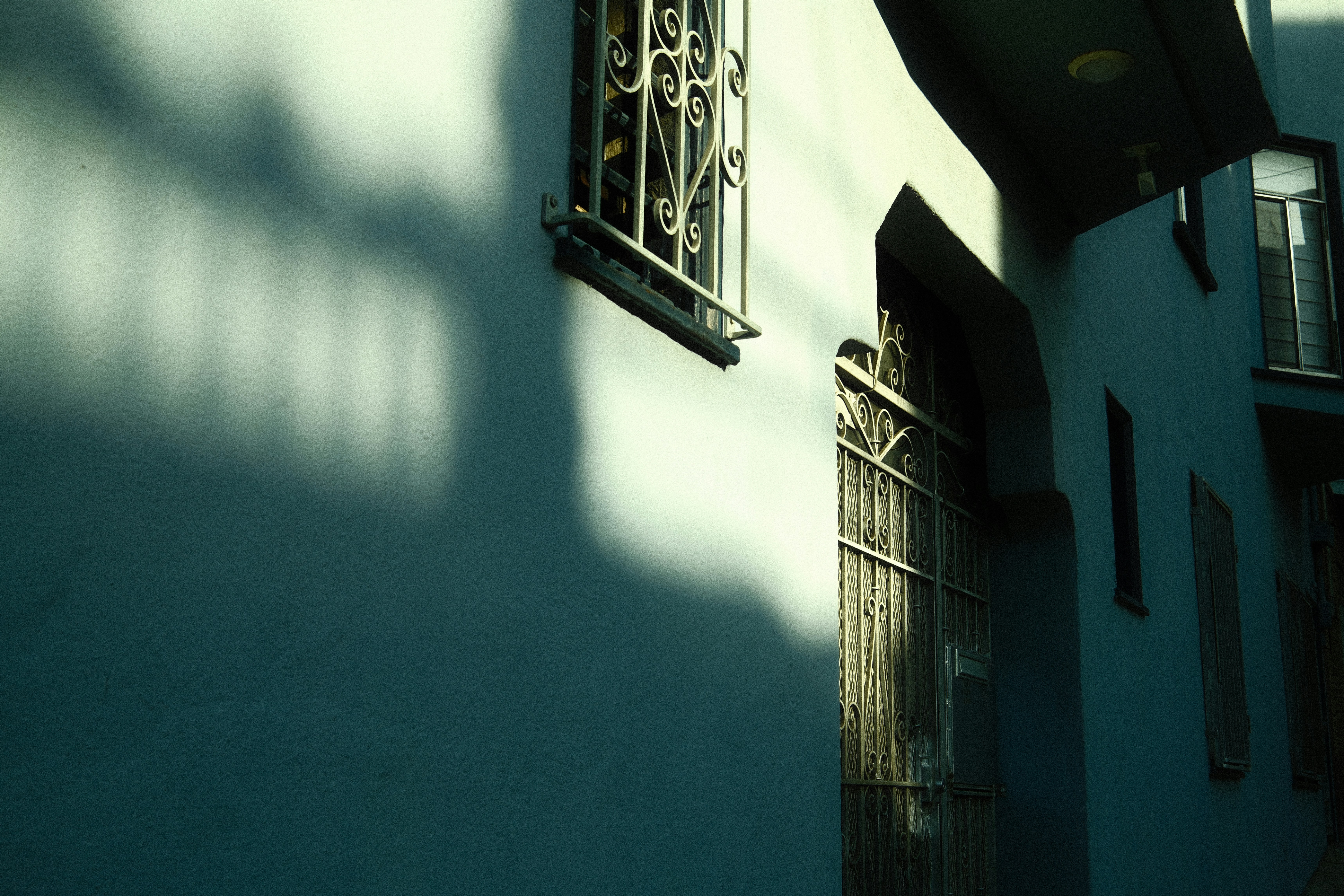 Photo by kalaniparker