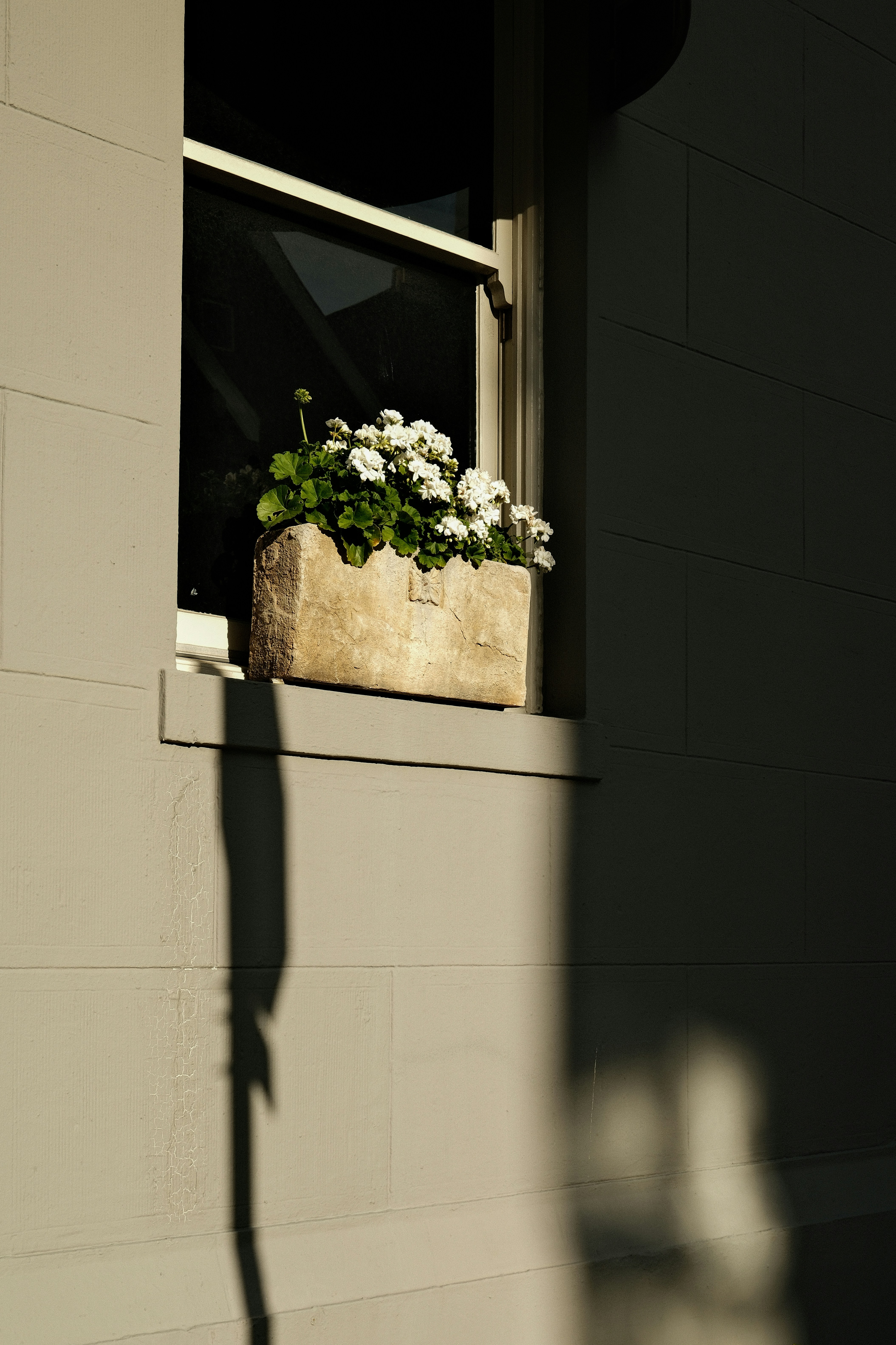 Photo by kalaniparker