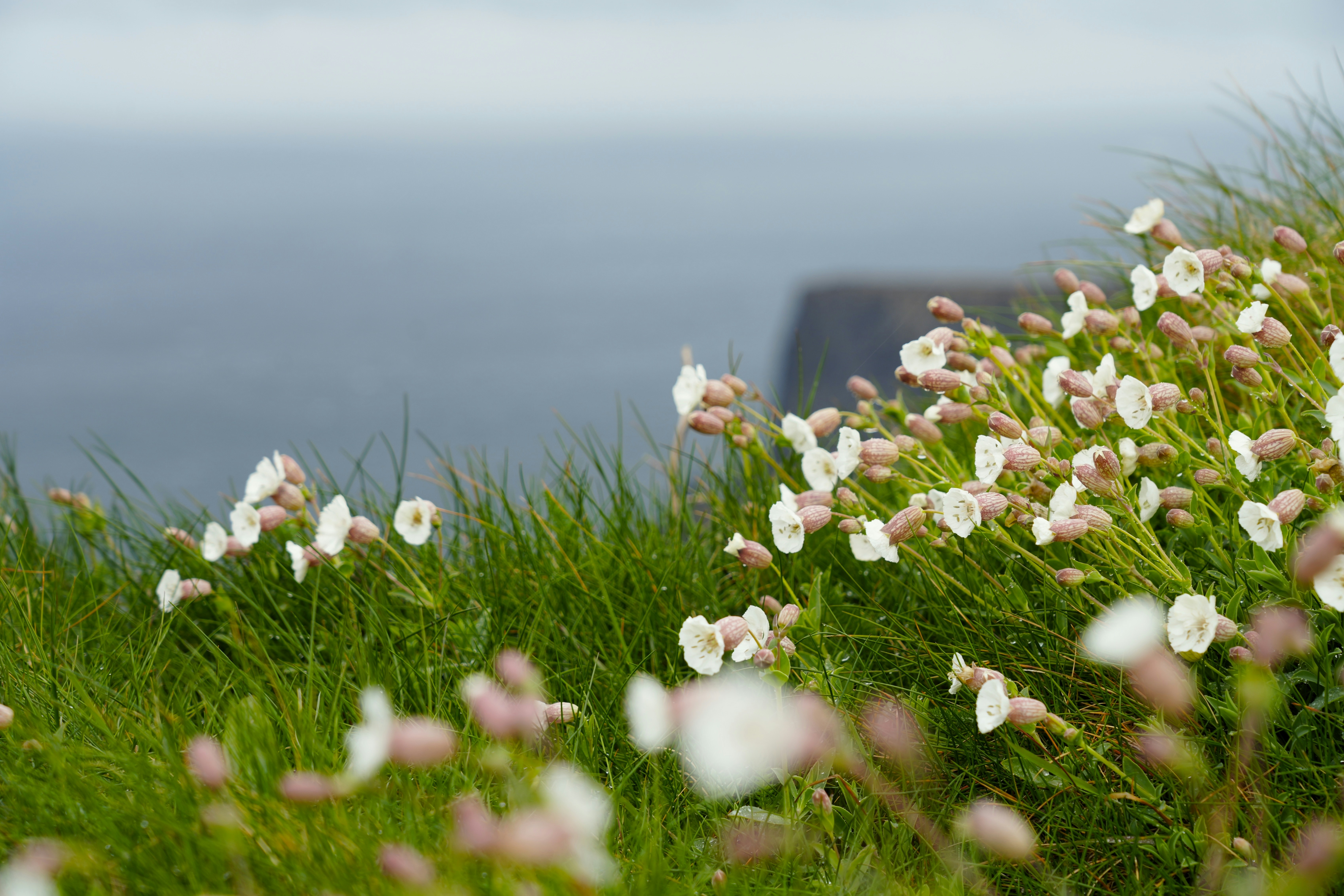 Ein veröffentlichtes Foto