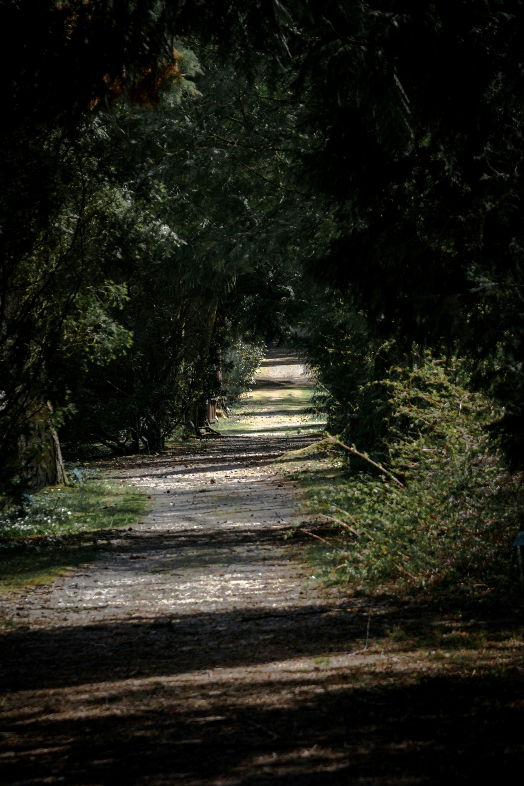 Photo by malwinanogaj