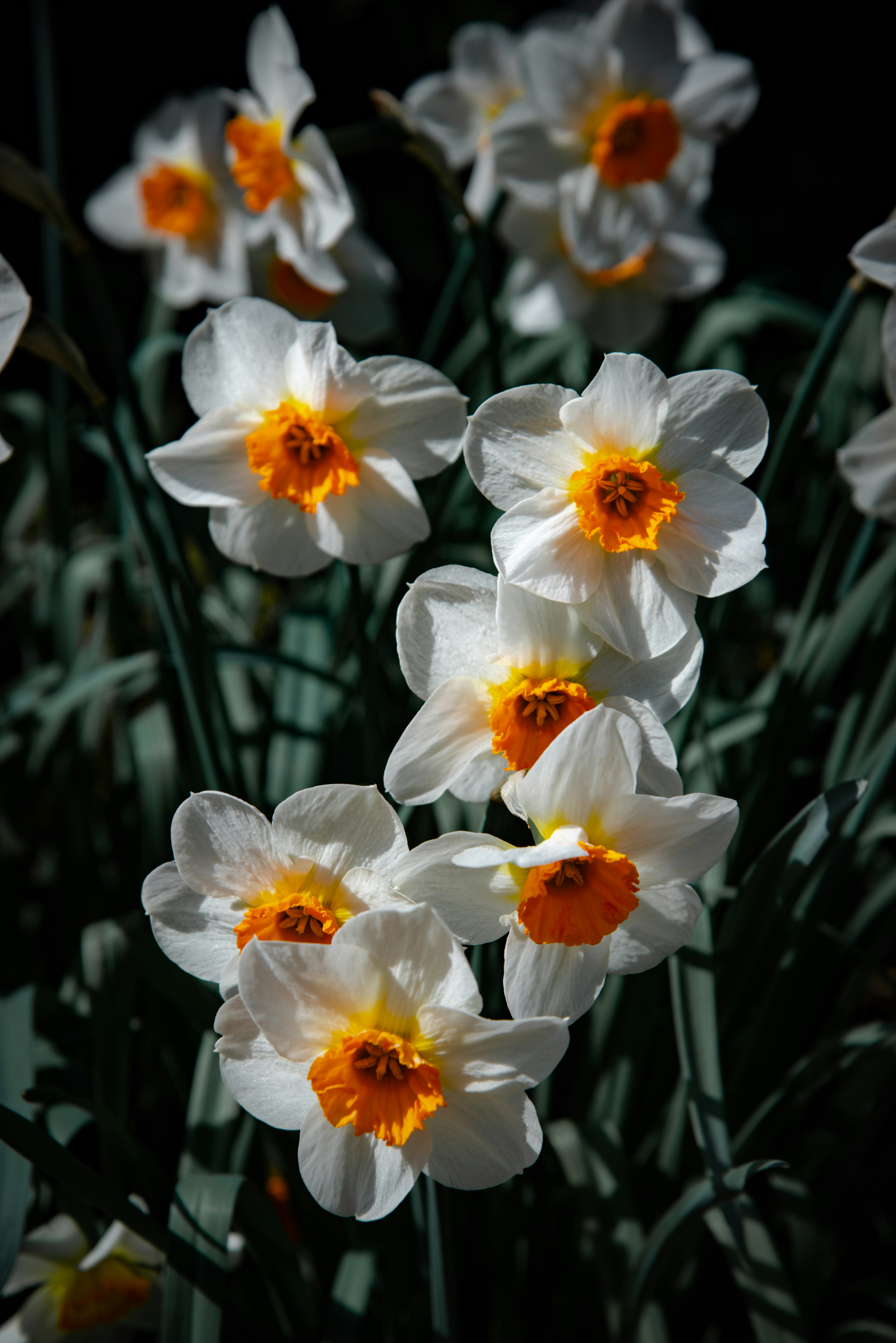 Photo by malwinanogaj