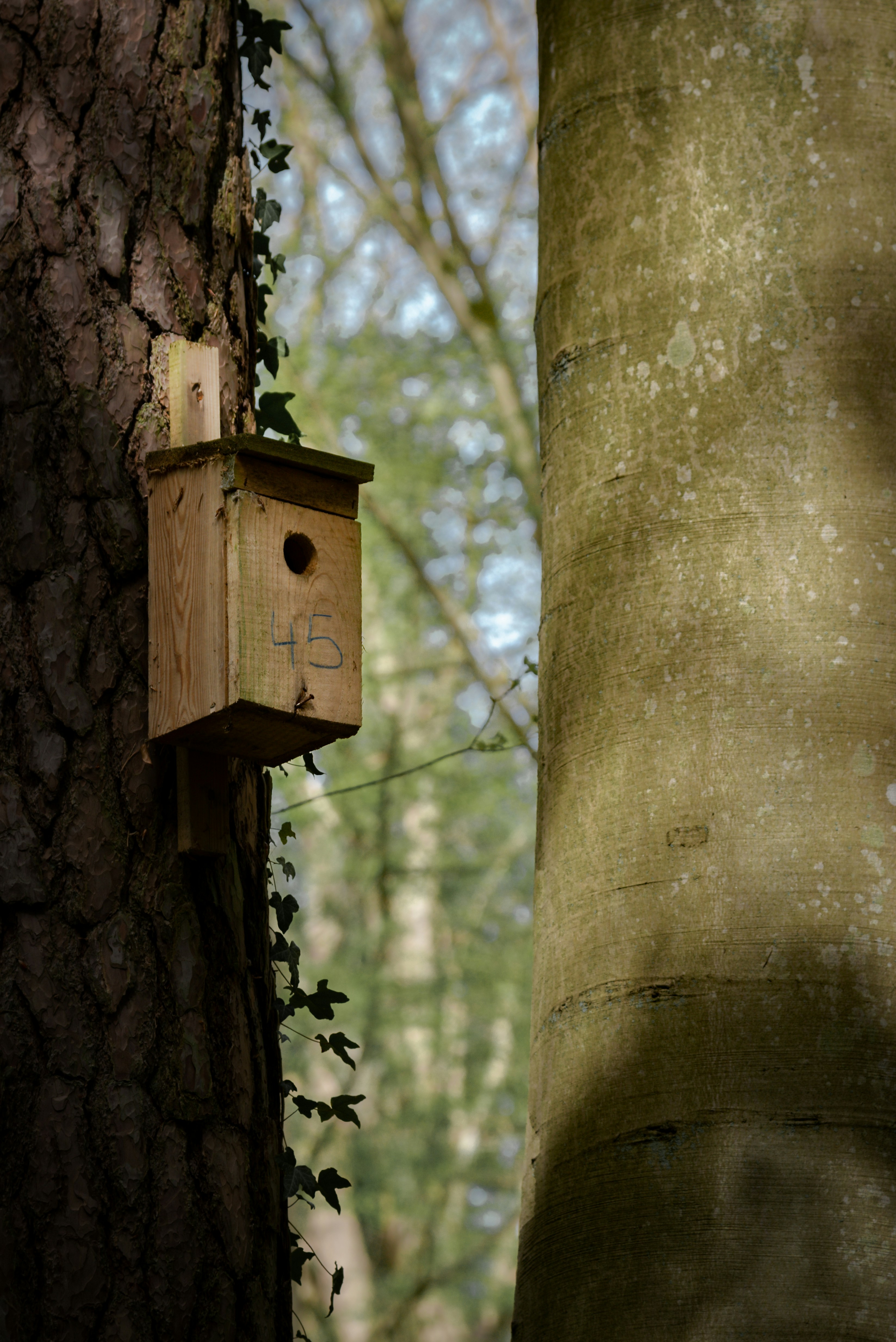 Photo by malwinanogaj