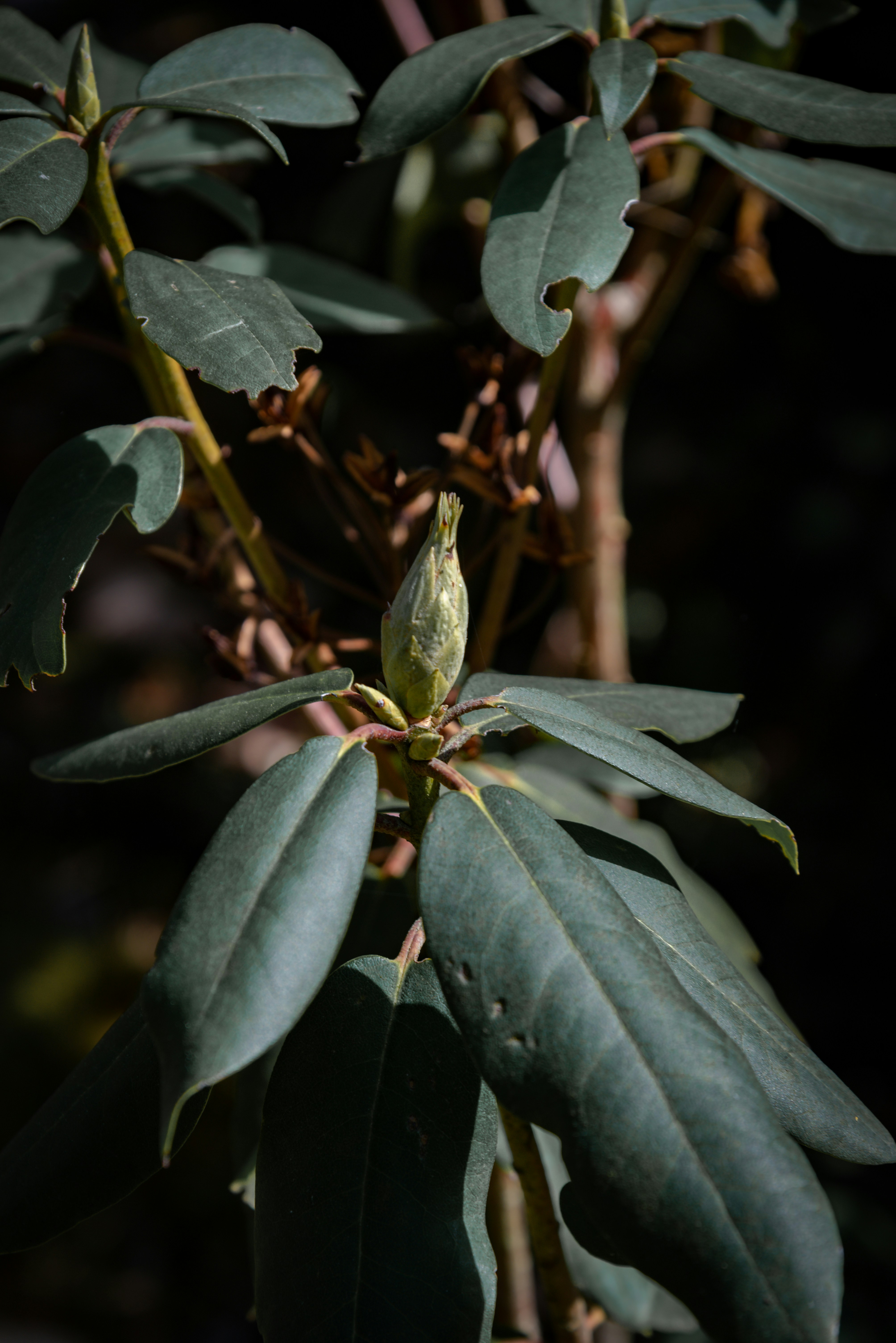 Photo by malwinanogaj