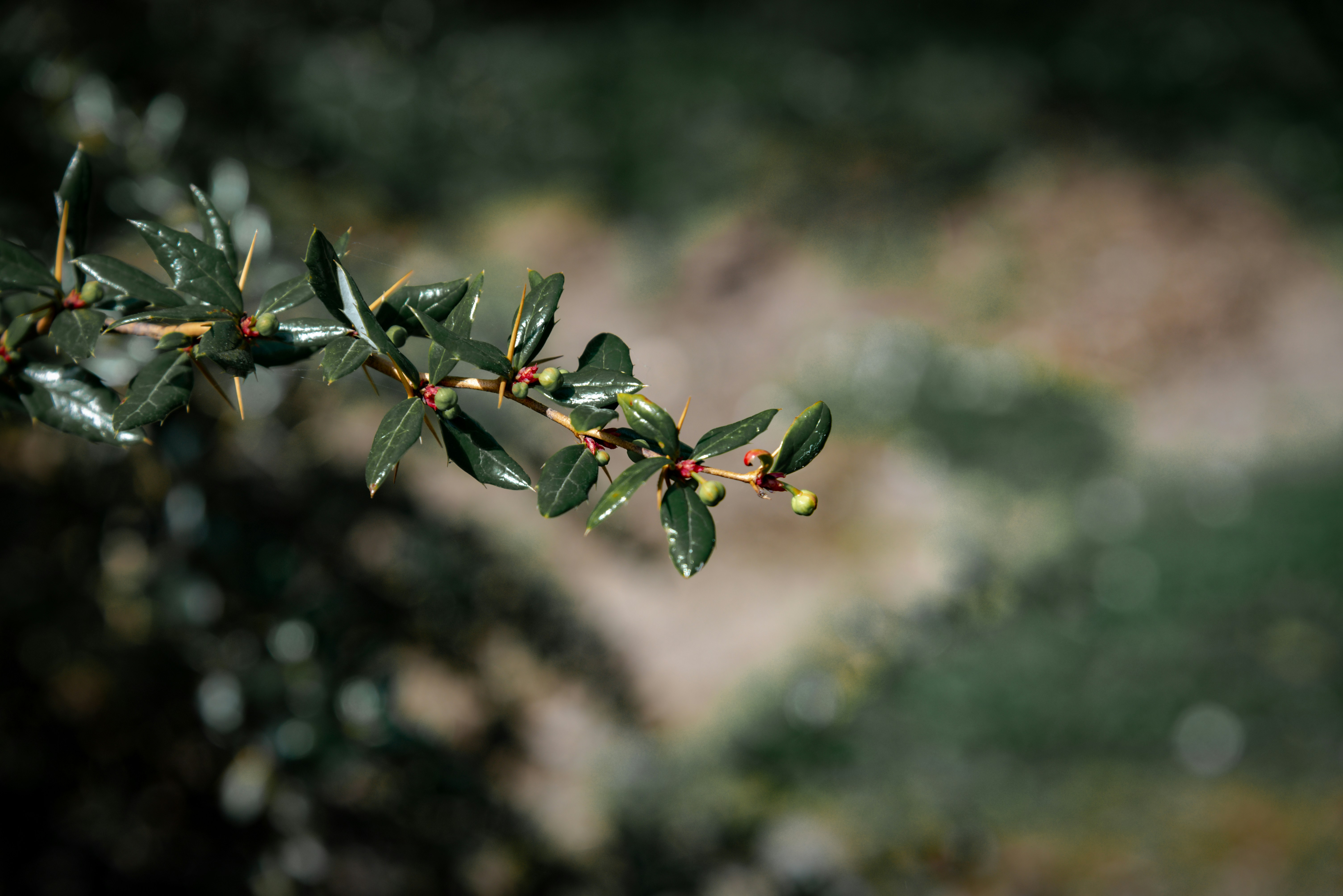 Photo by malwinanogaj