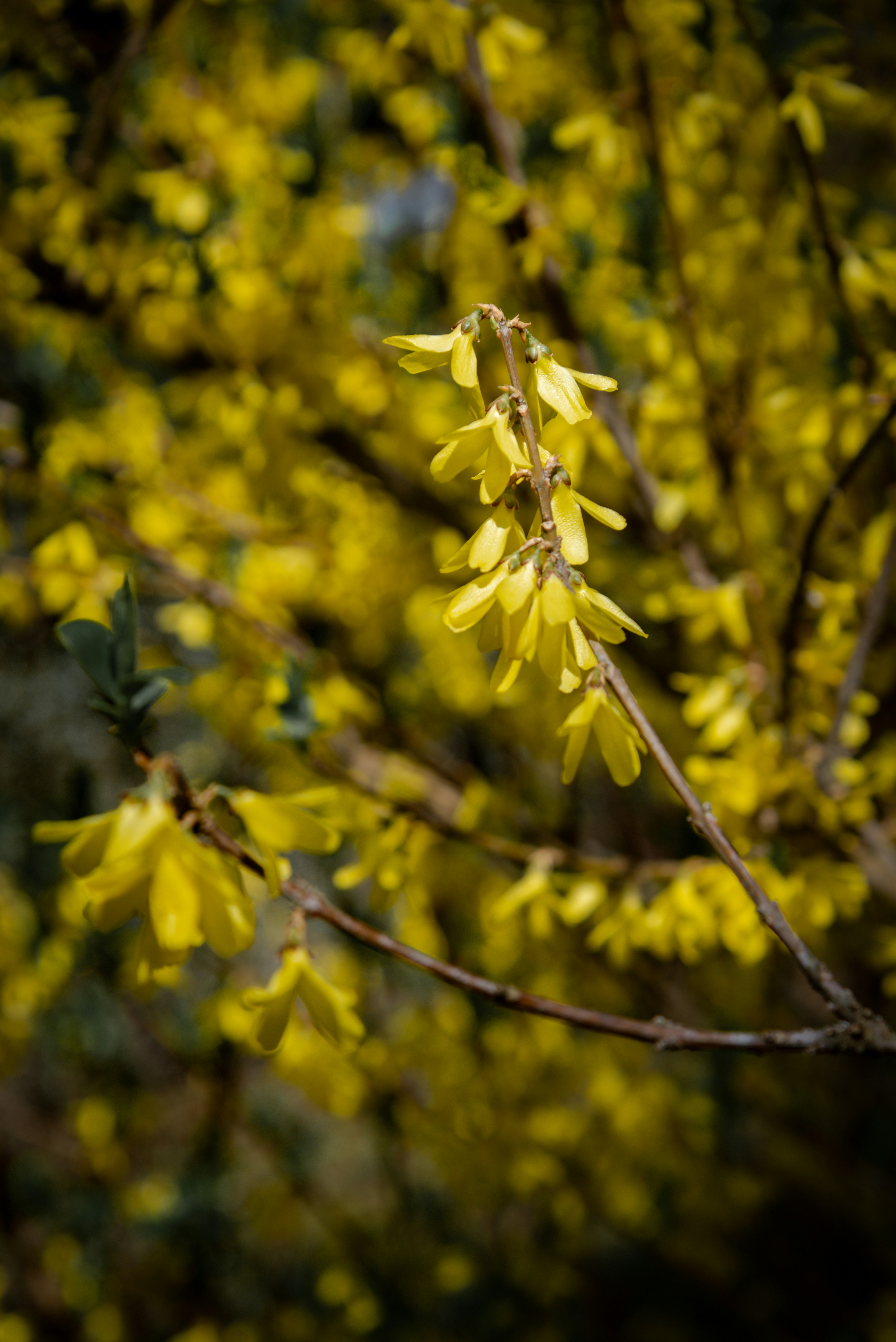 Photo by malwinanogaj