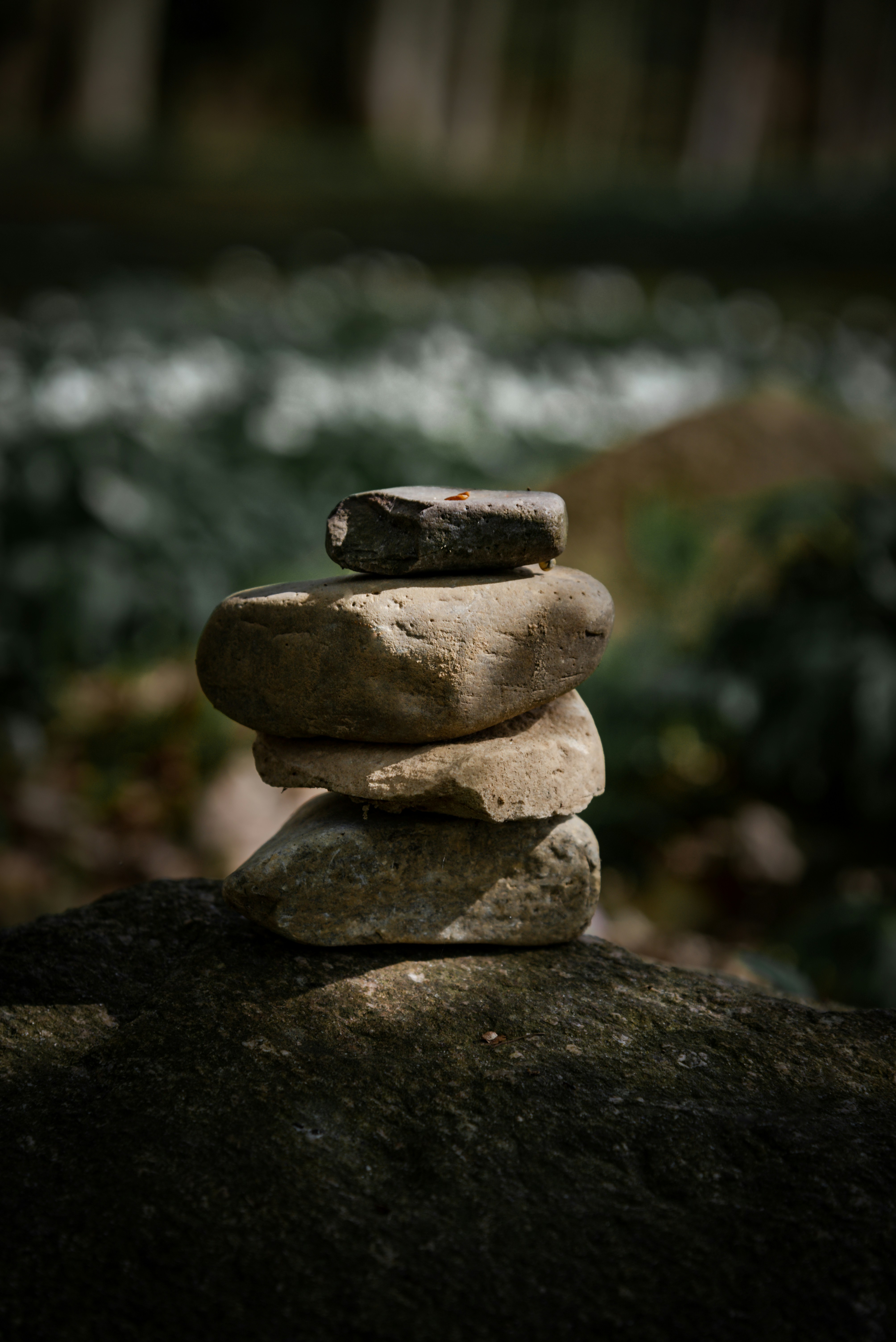 Photo by malwinanogaj