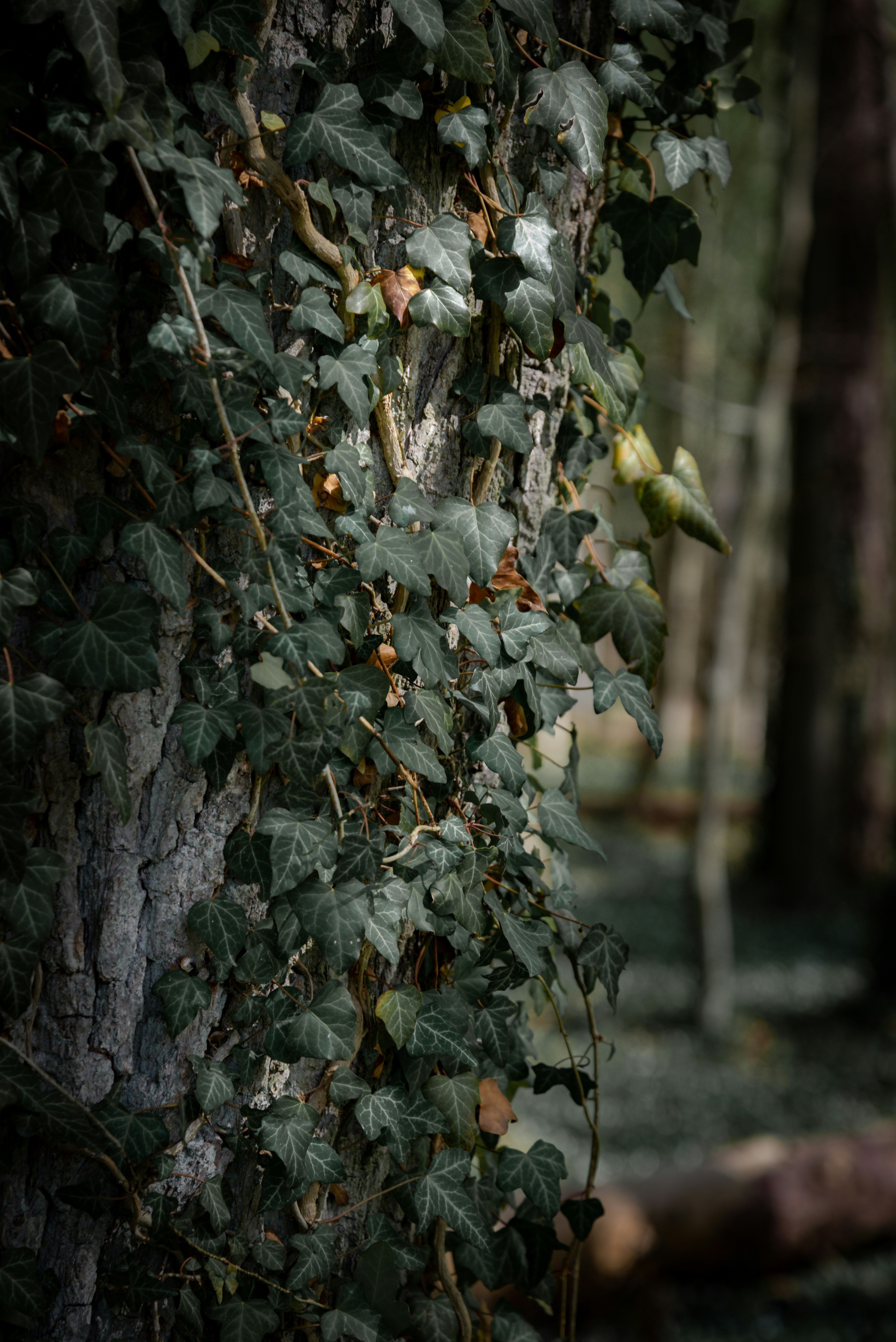 Photo by malwinanogaj