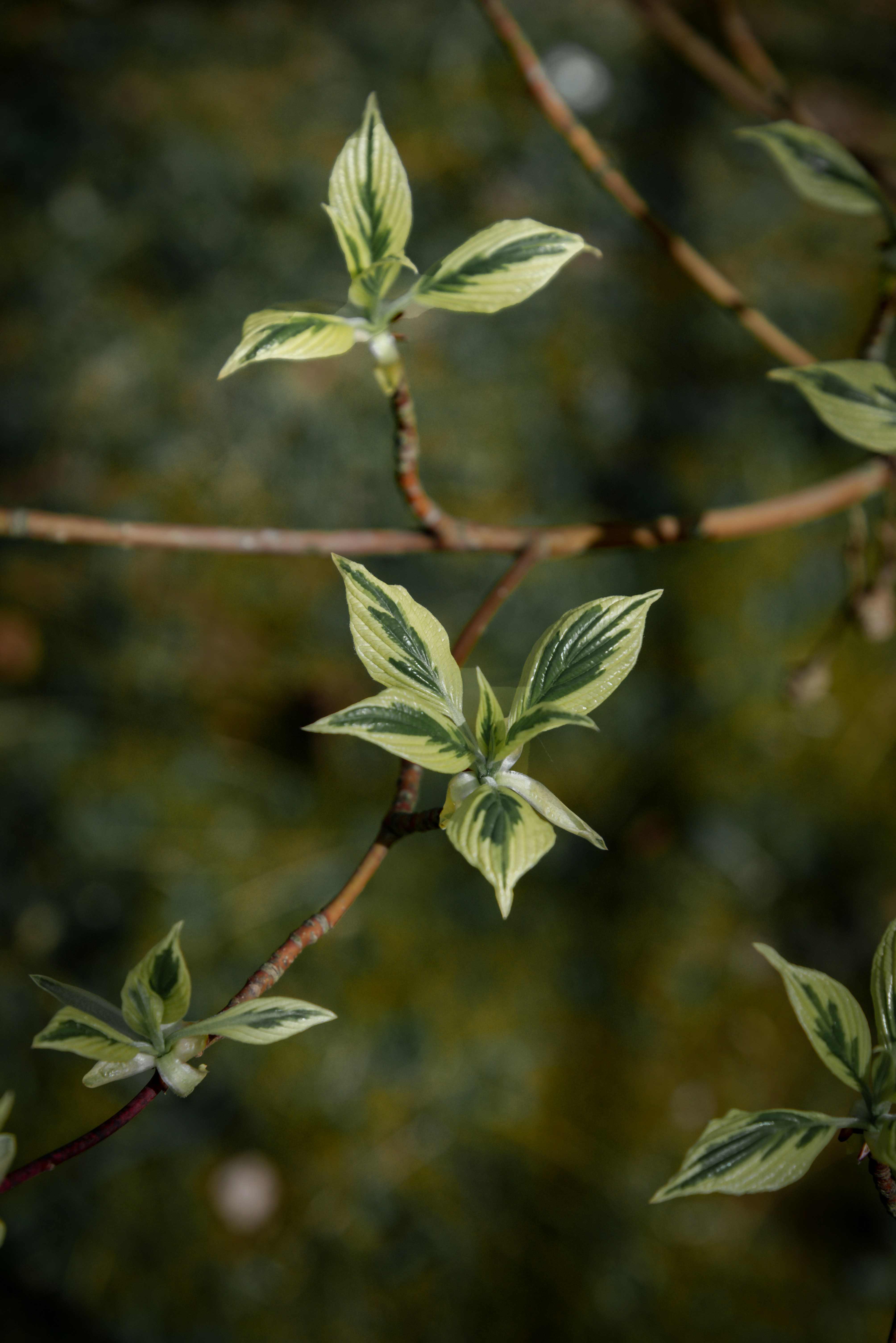 Photo by malwinanogaj