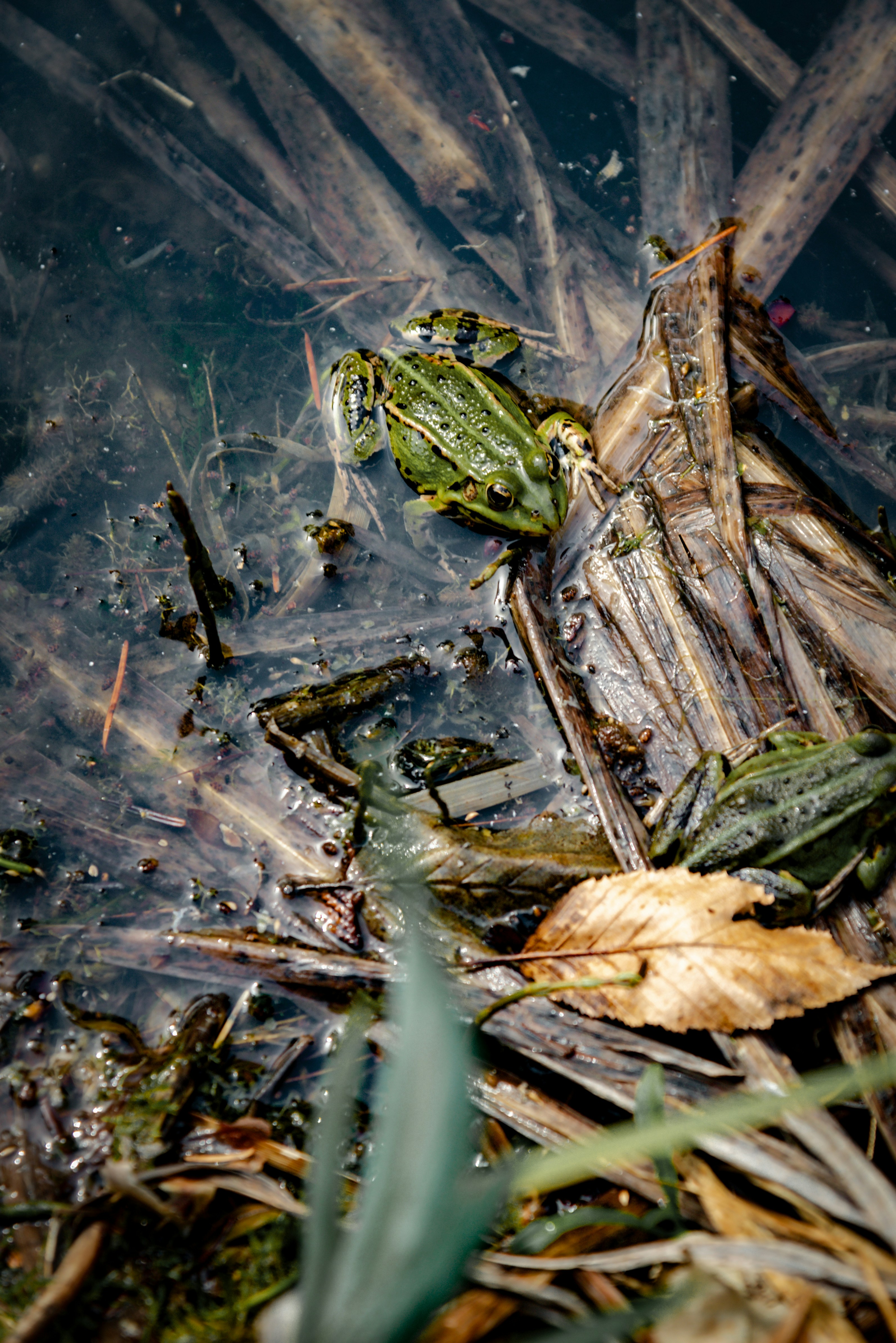 Photo by malwinanogaj