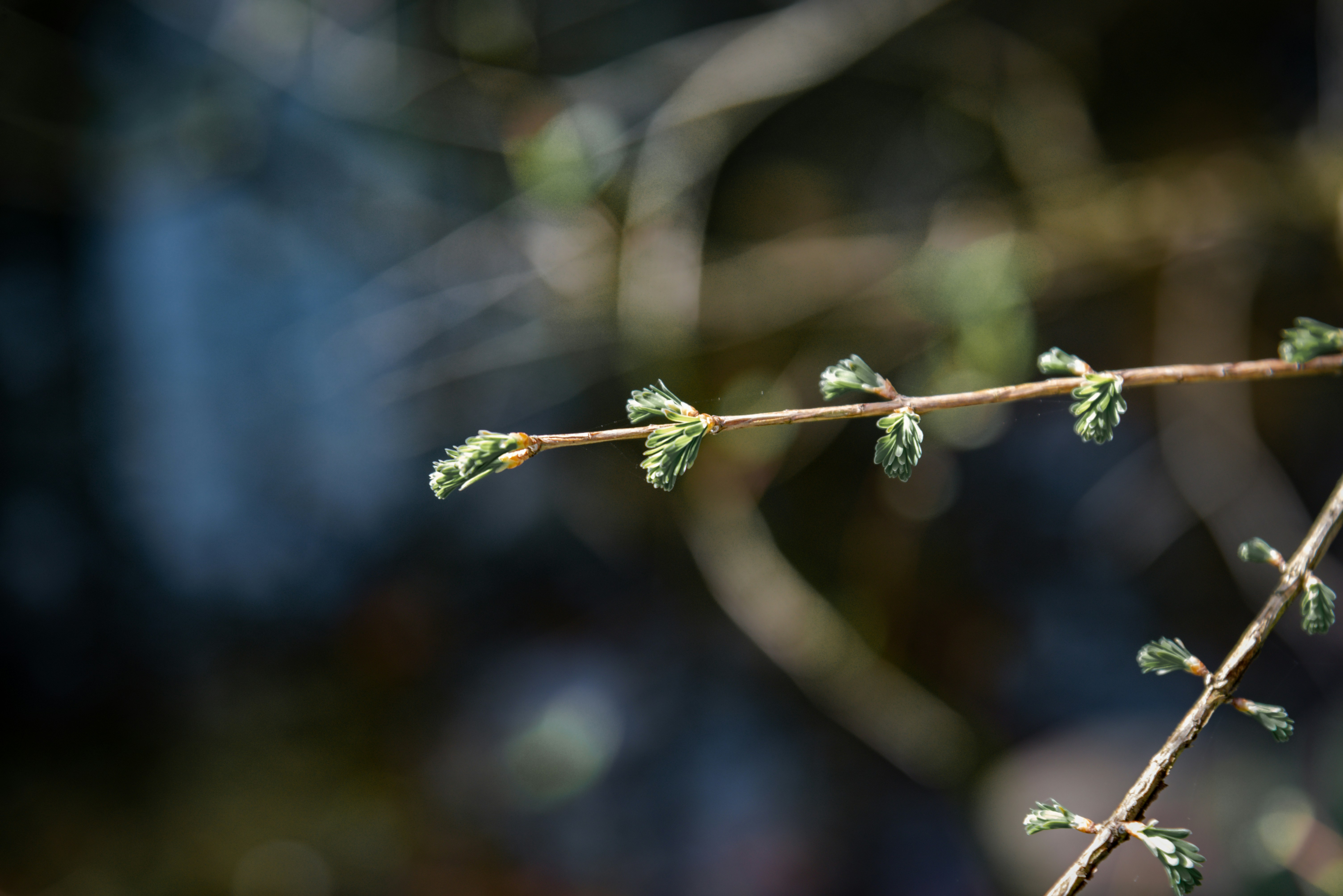 Photo by malwinanogaj