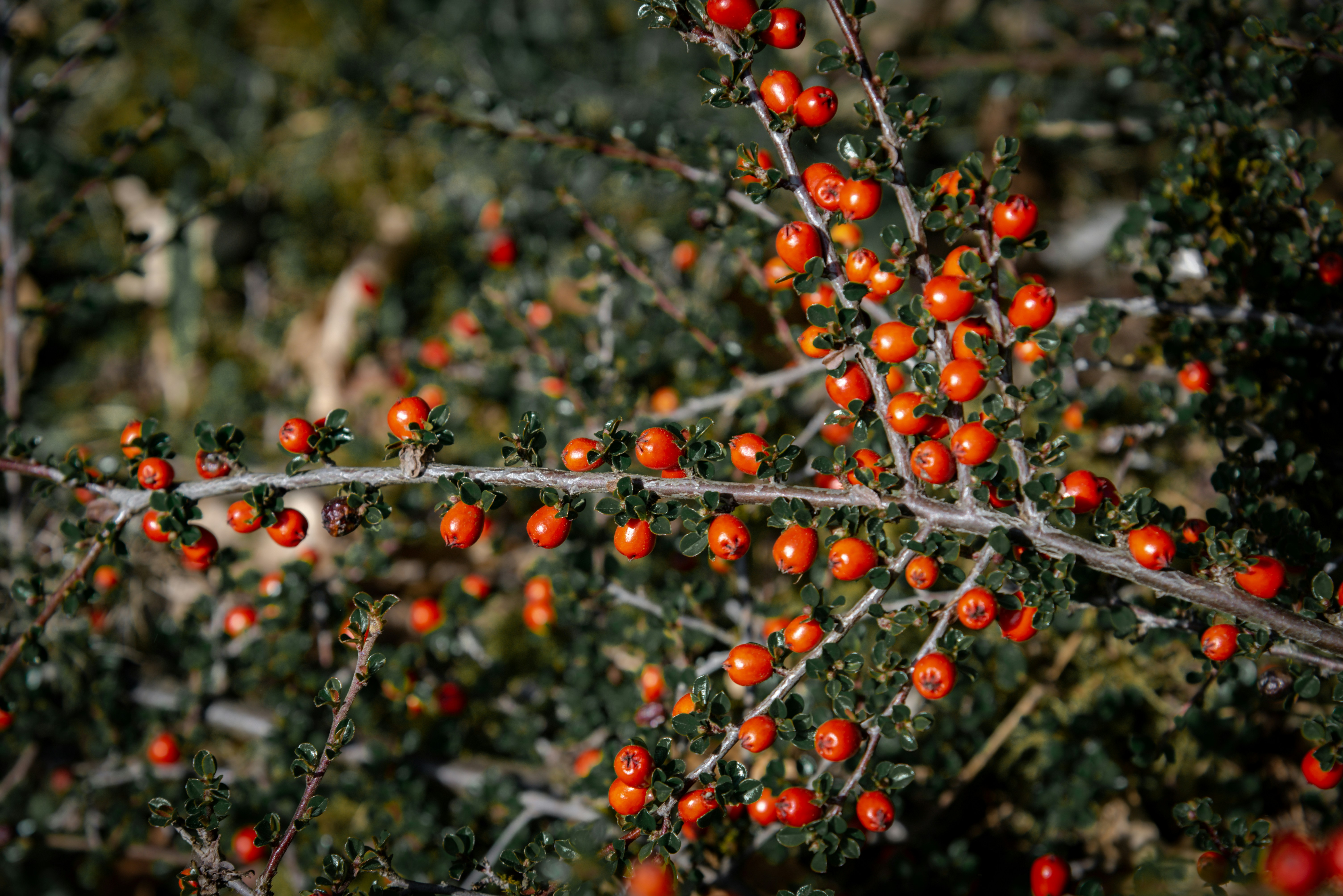 Photo by malwinanogaj