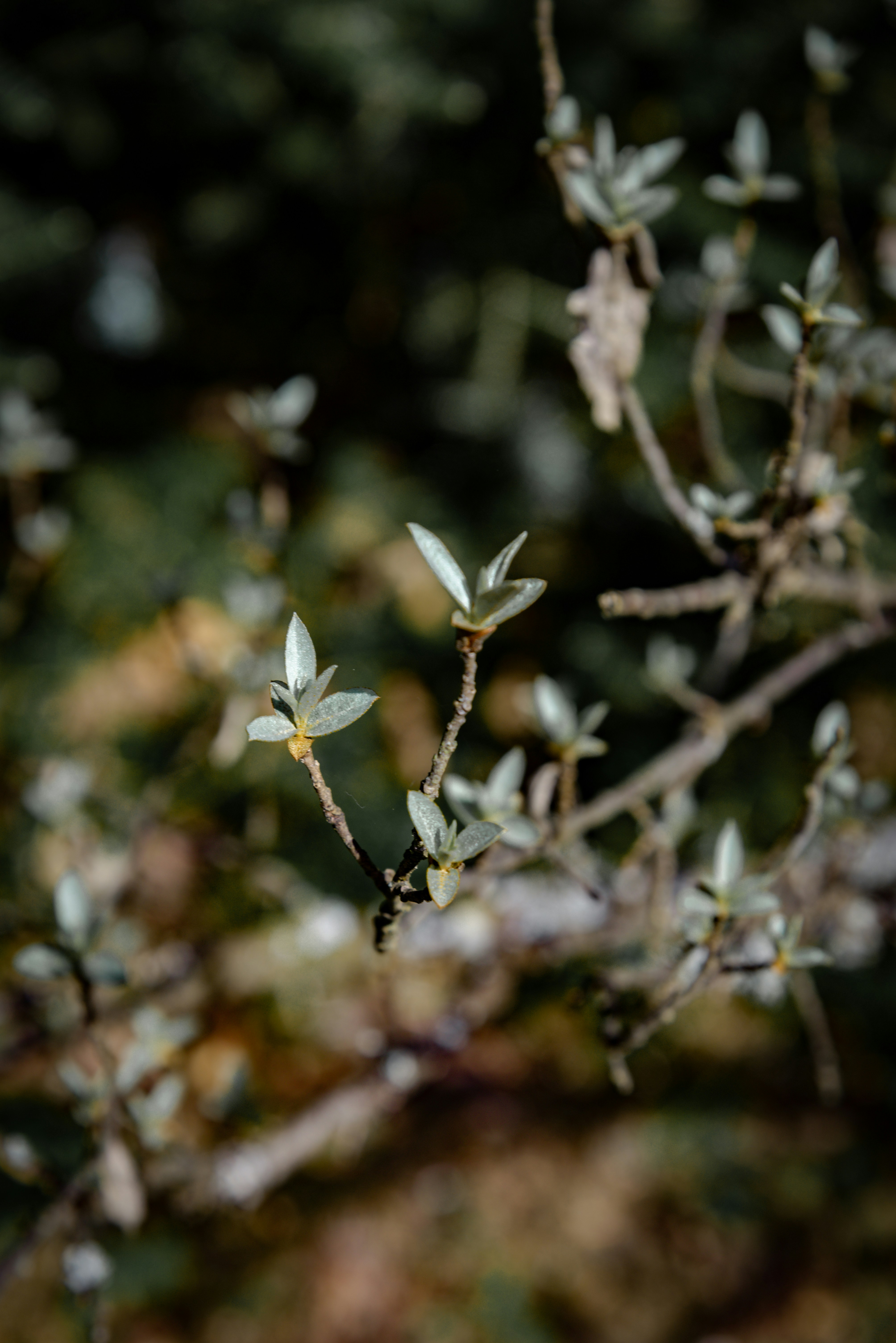 Photo by malwinanogaj