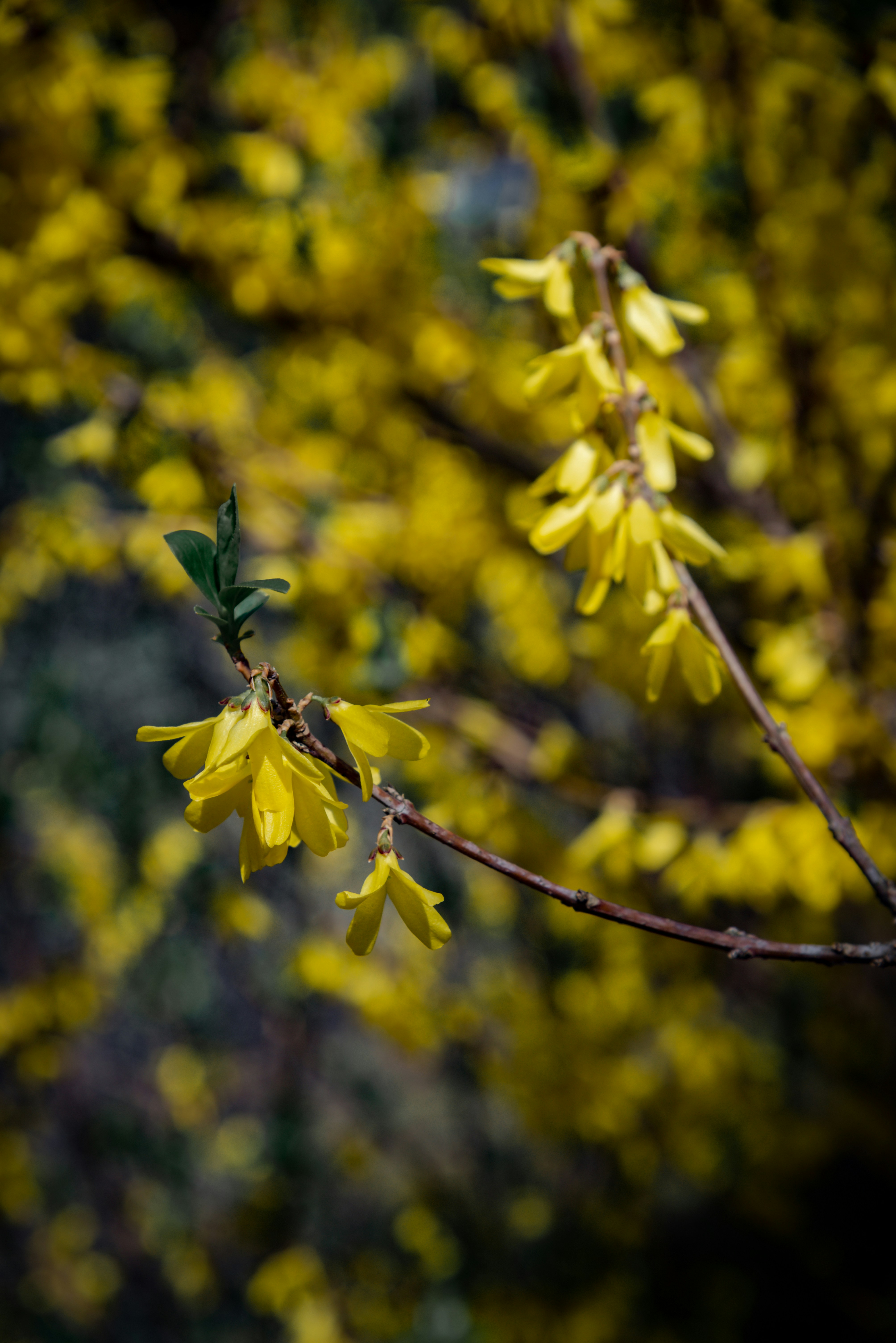 Photo by malwinanogaj