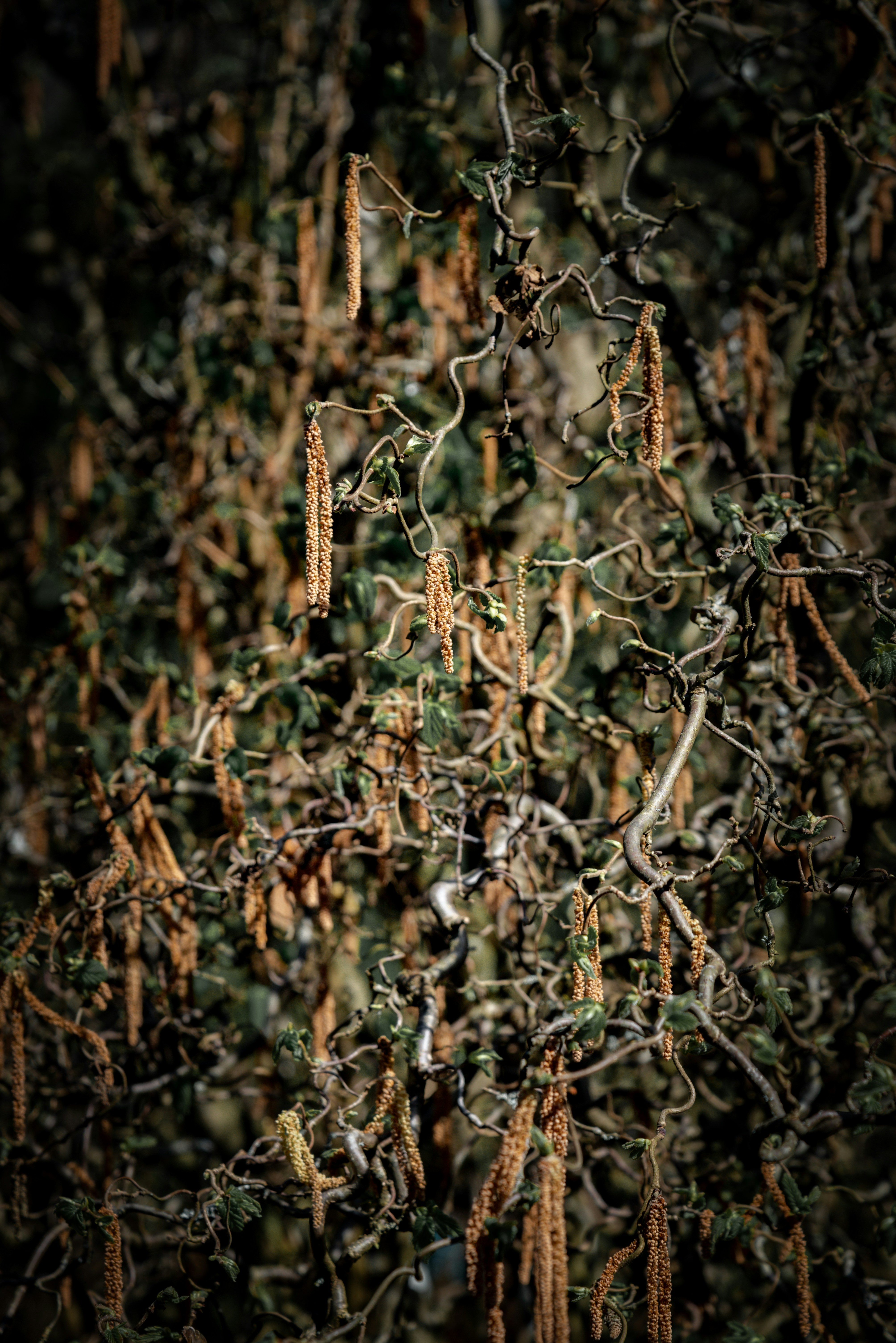 Photo by malwinanogaj