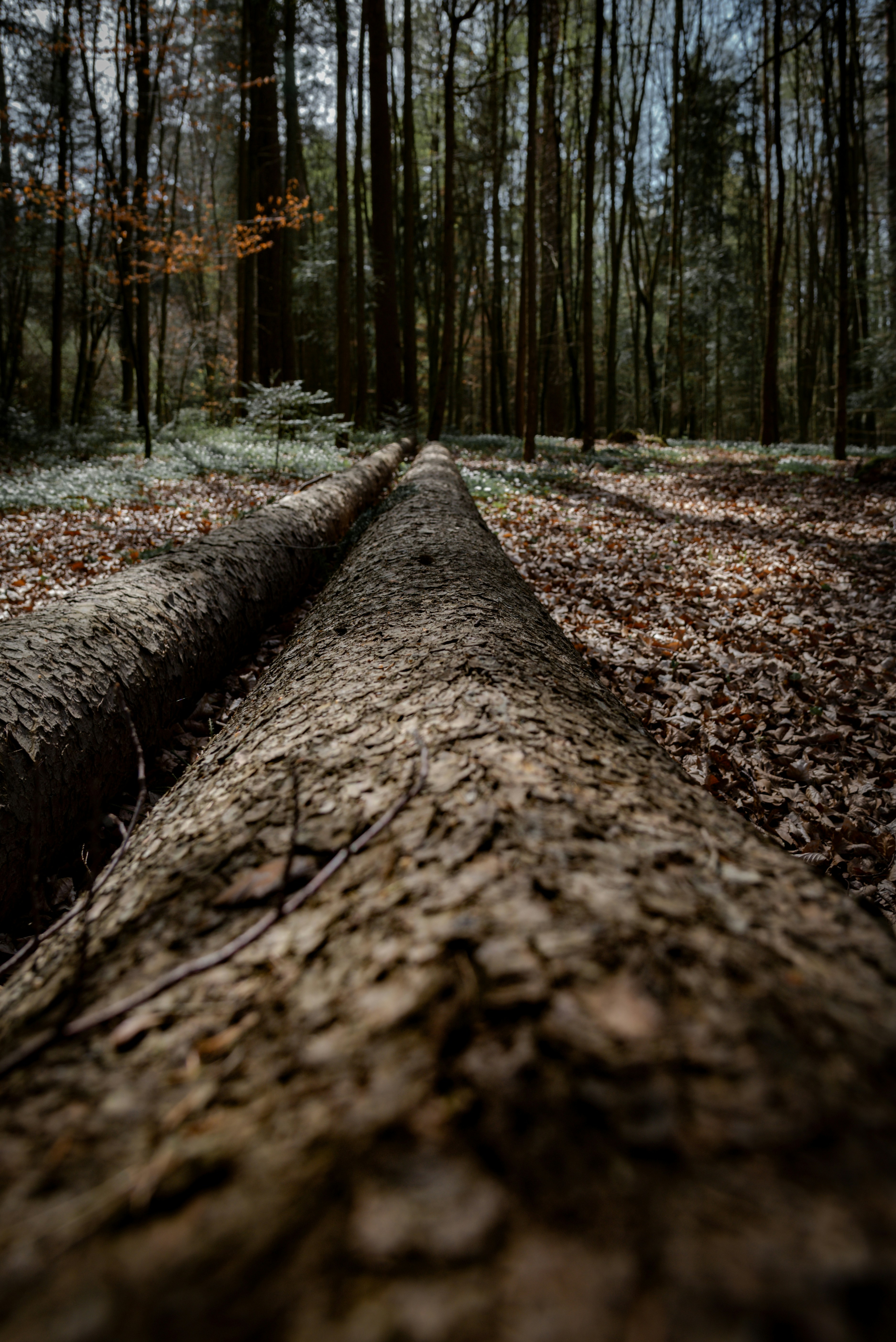 Photo by malwinanogaj