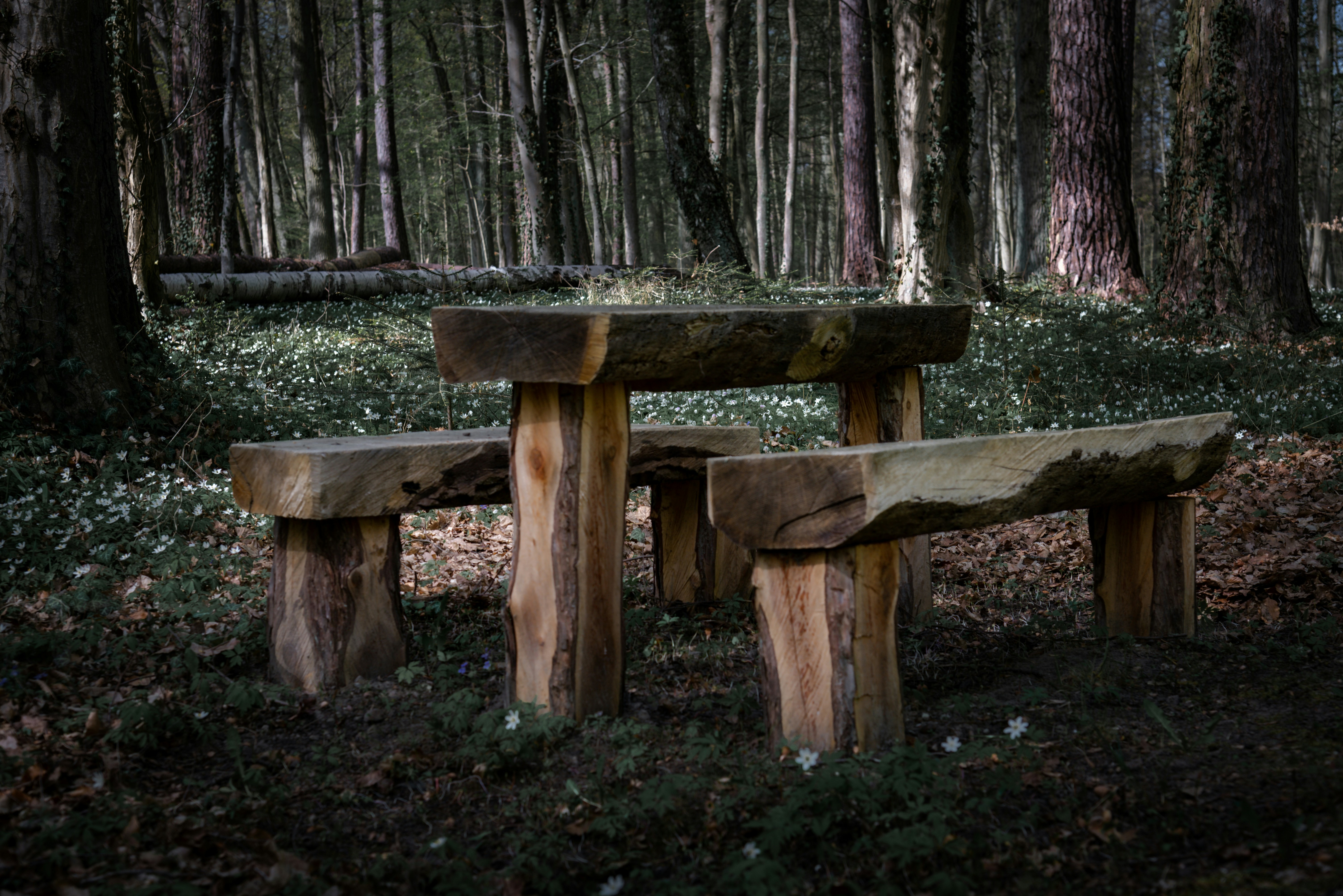 Photo by malwinanogaj