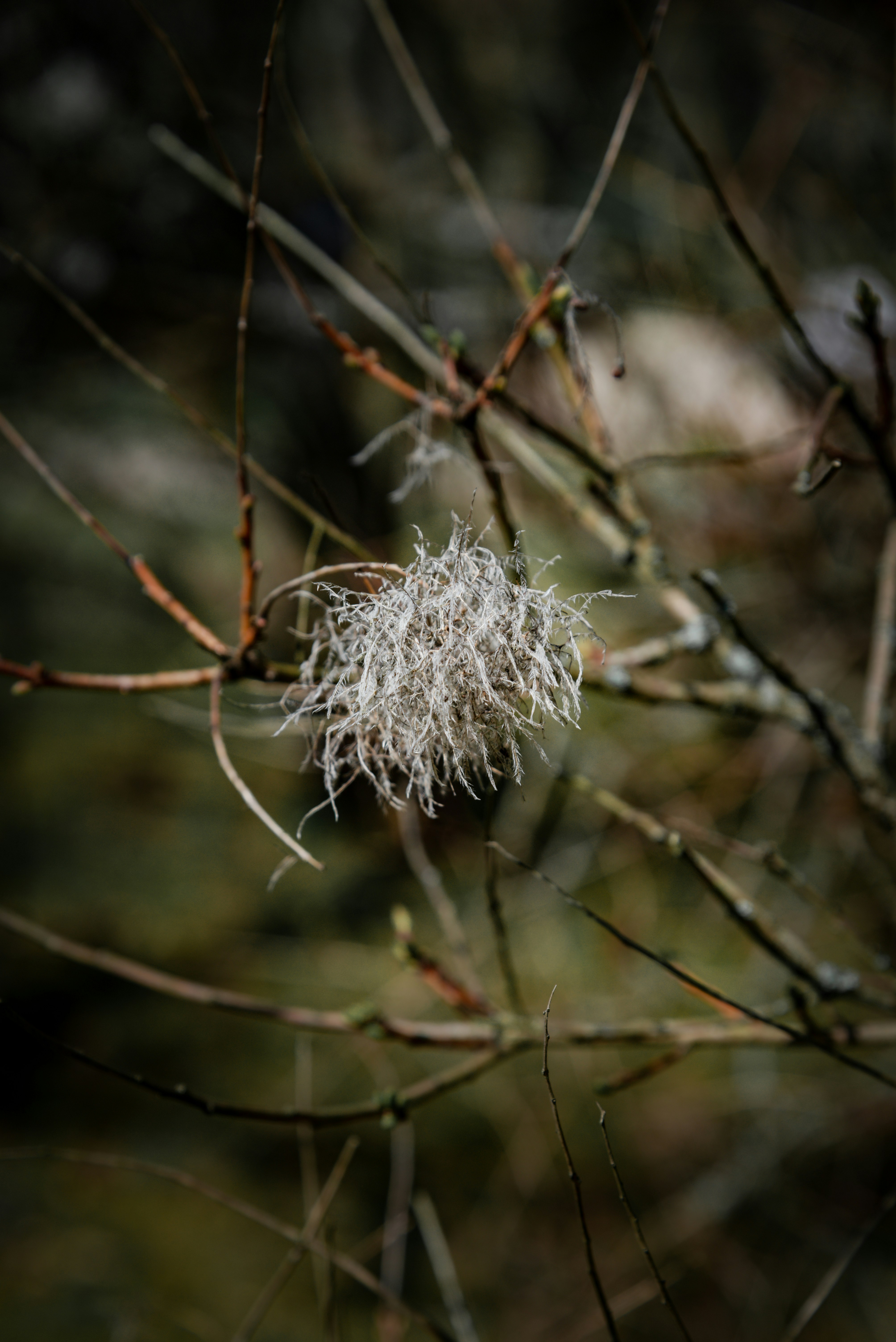 Photo by malwinanogaj