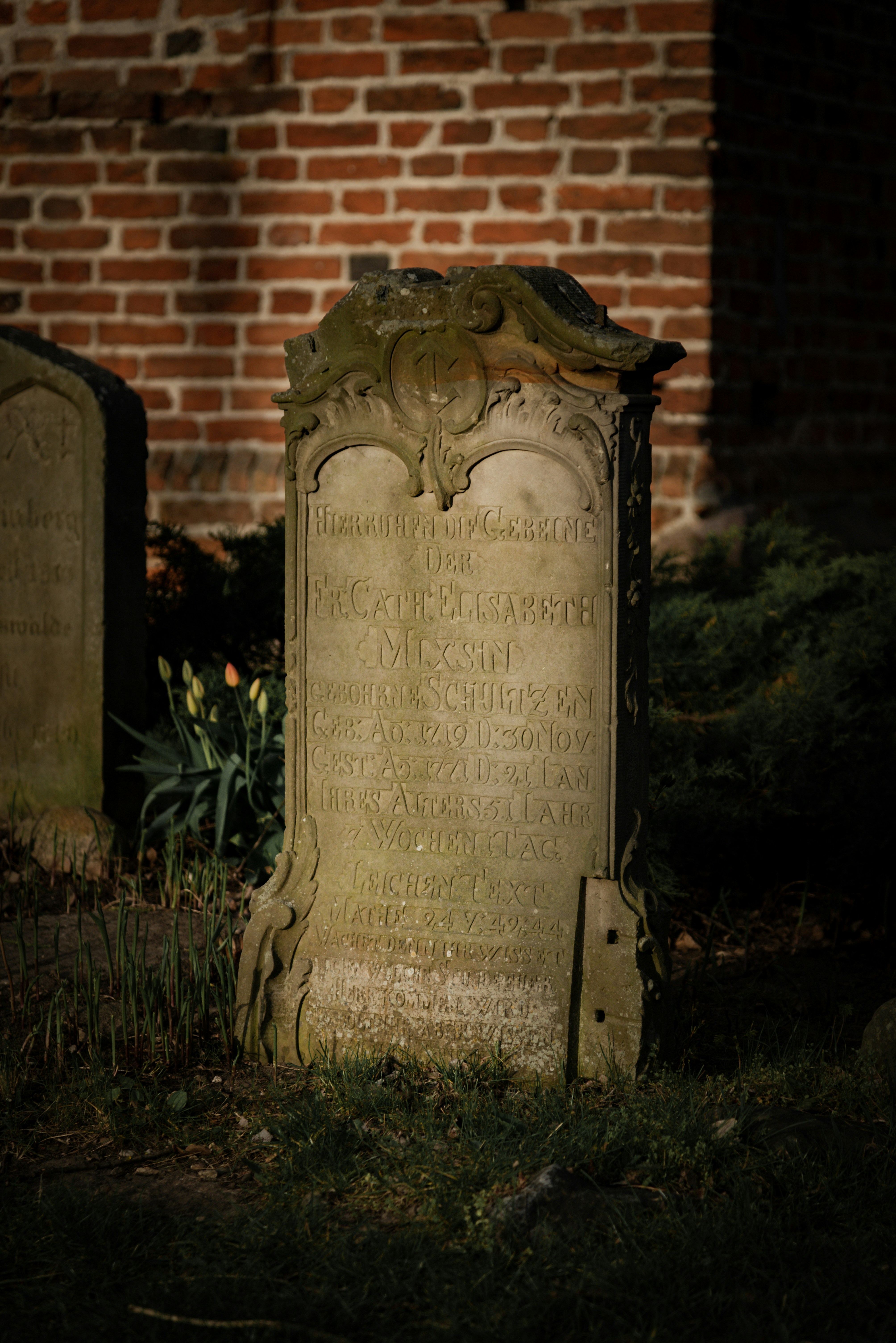 Photo by malwinanogaj