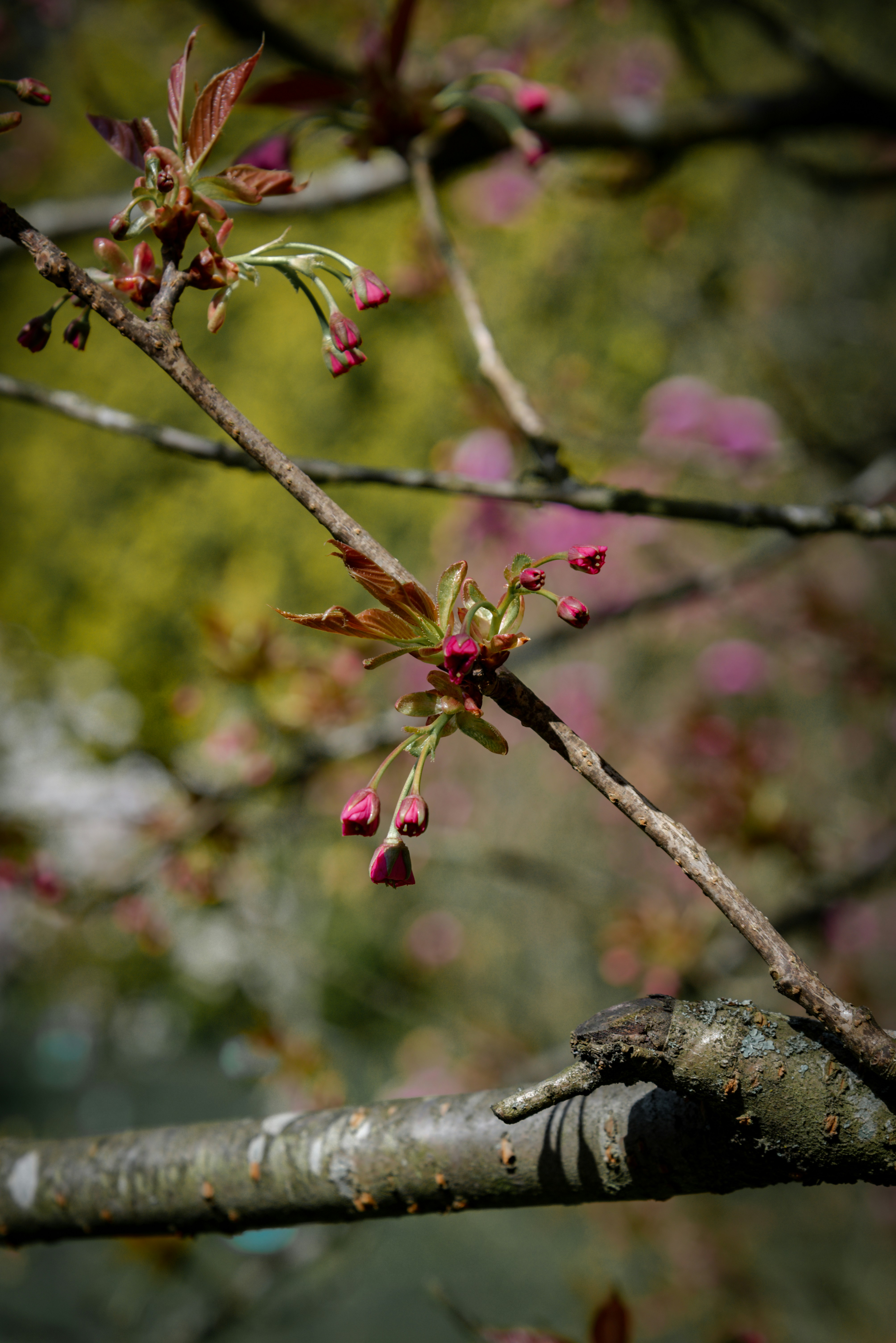 Photo by malwinanogaj