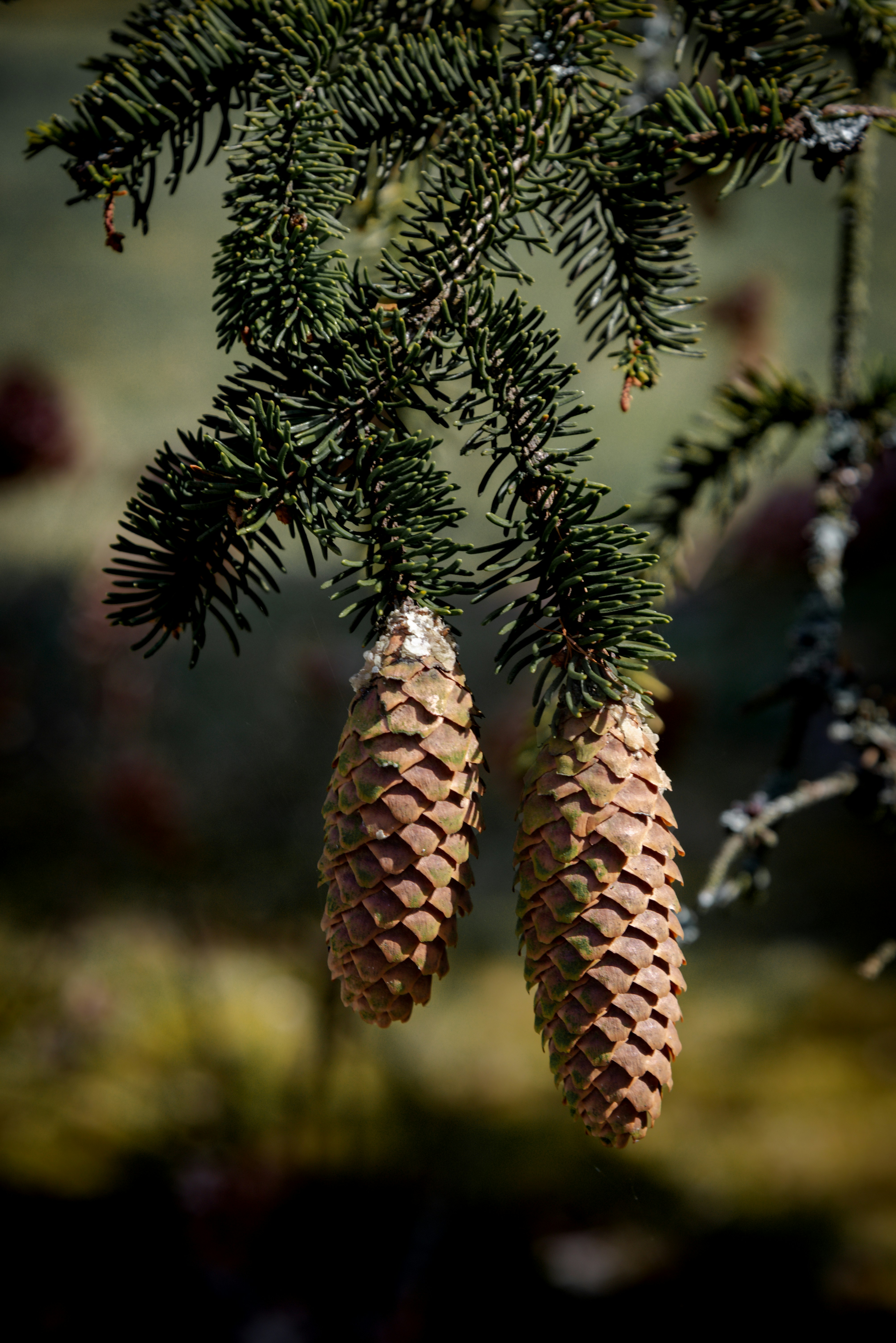 Photo by malwinanogaj