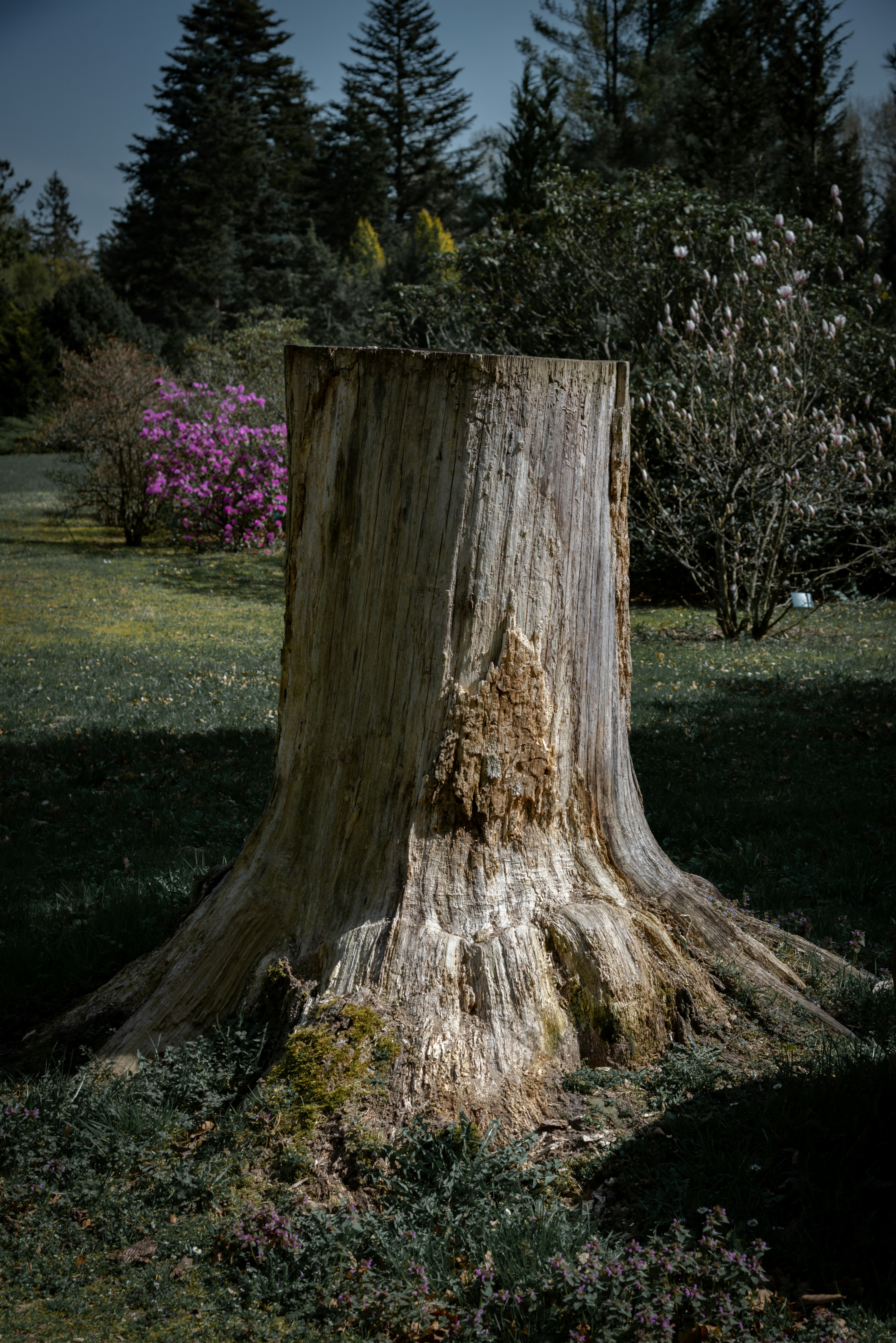 Photo by malwinanogaj