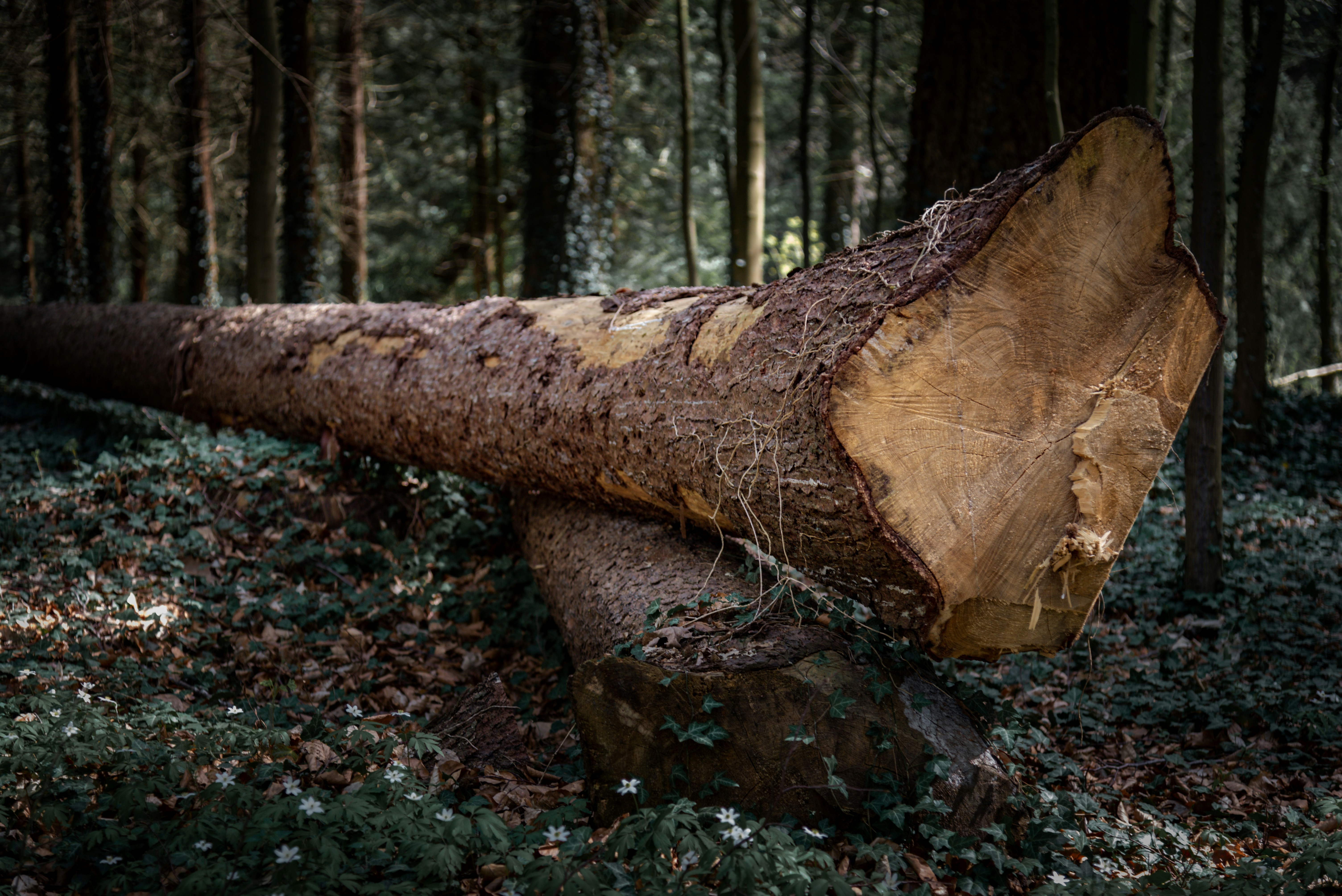 Photo by malwinanogaj