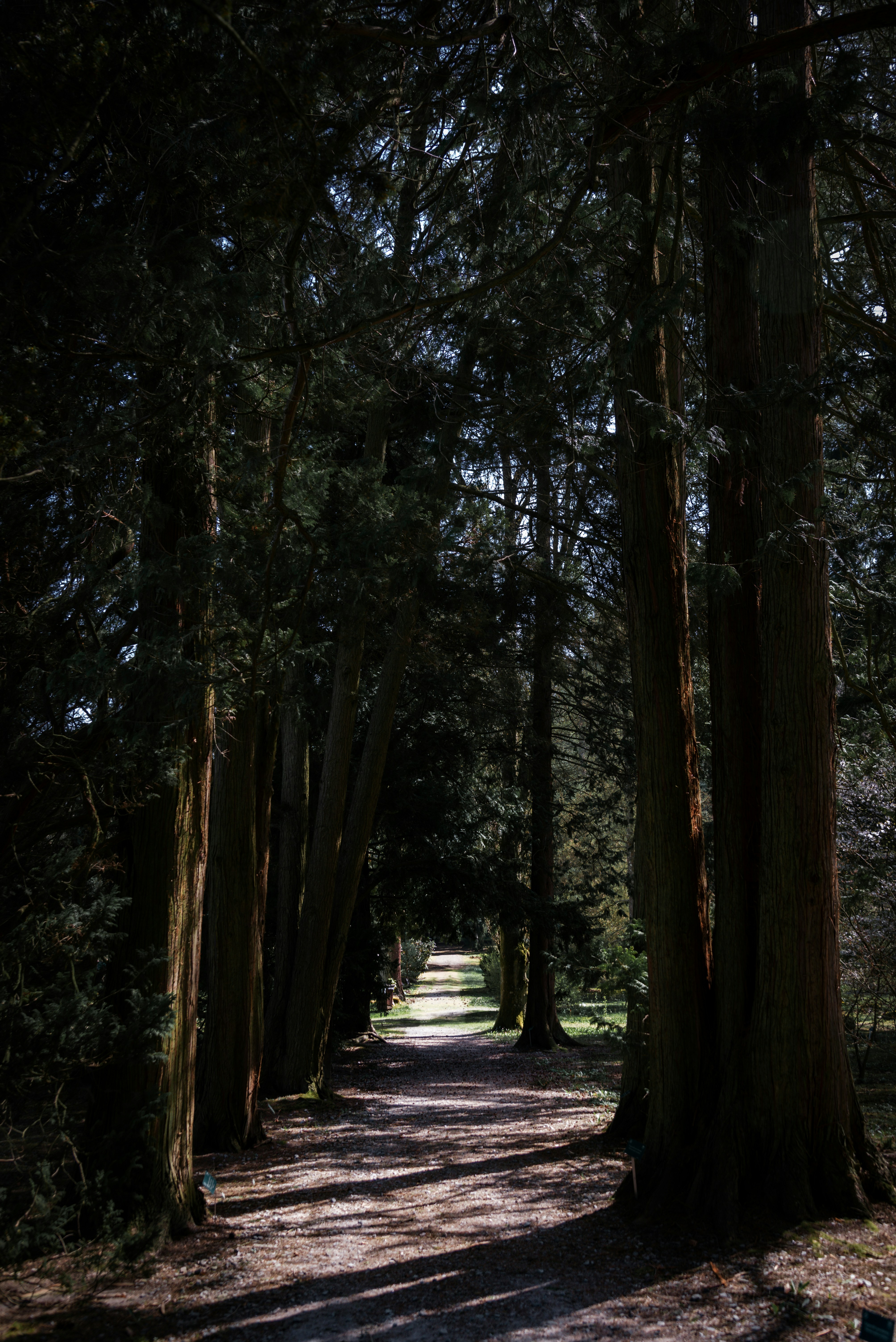 Photo by malwinanogaj