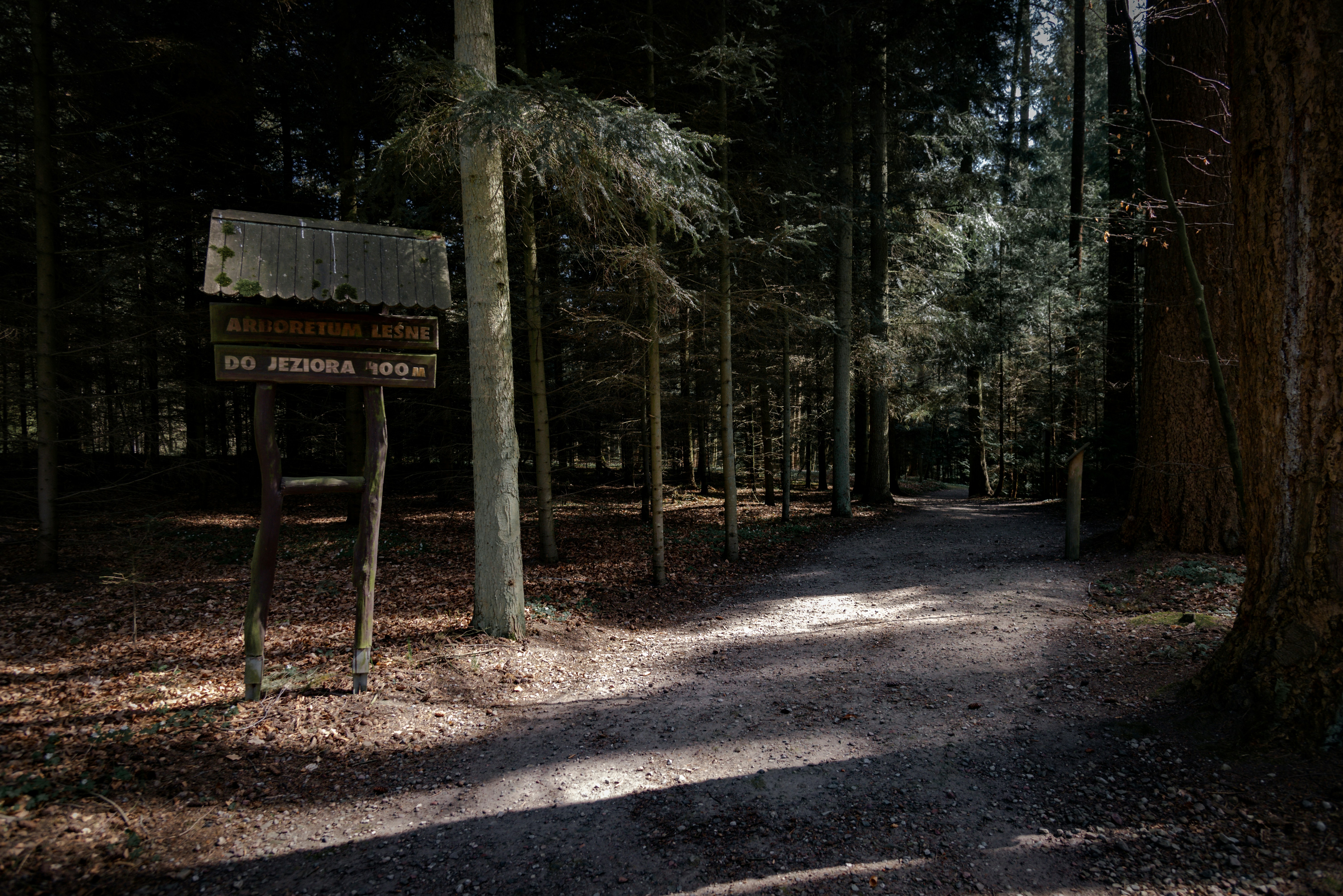 Photo by malwinanogaj