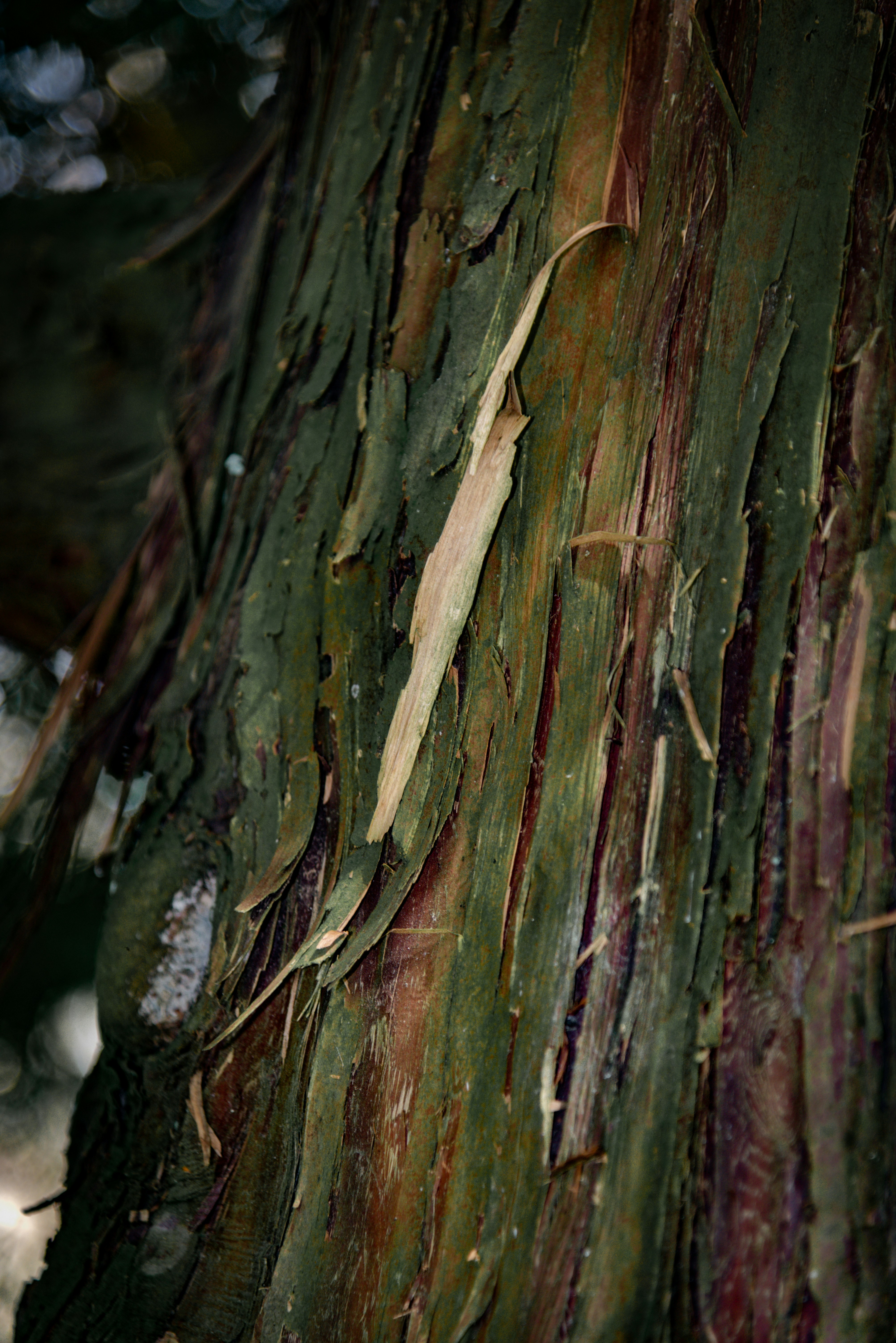 Photo by malwinanogaj