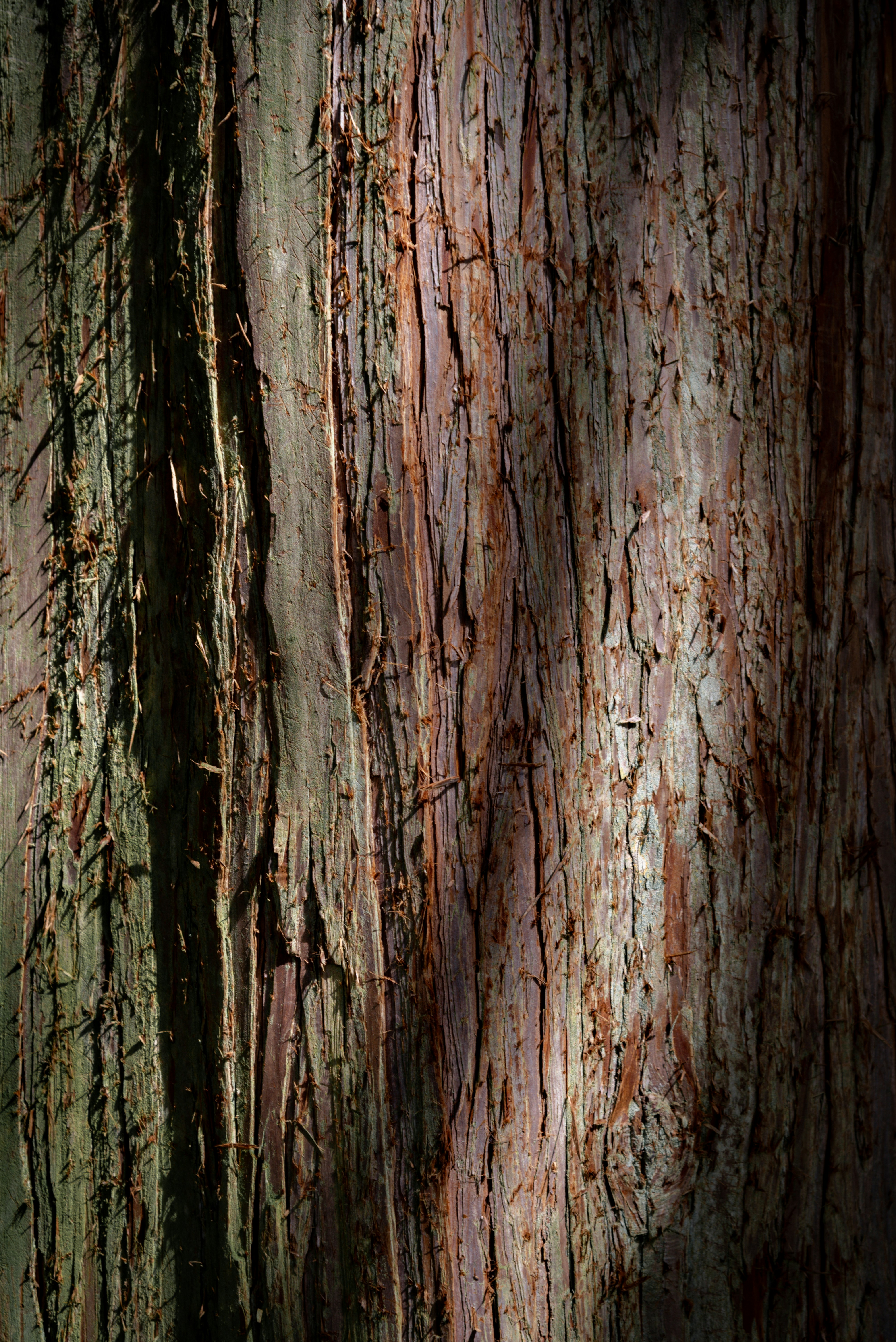 Photo by malwinanogaj