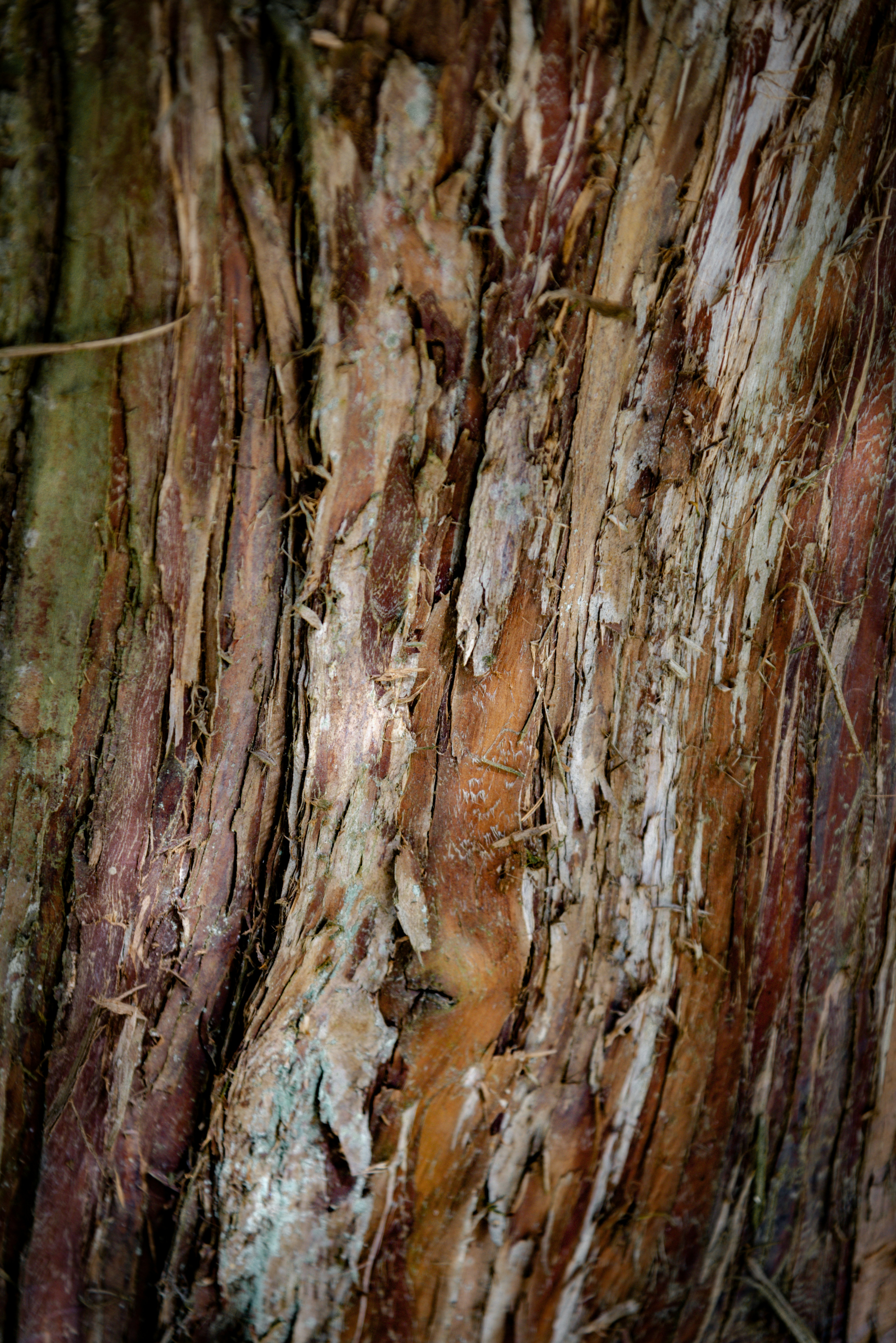 Photo by malwinanogaj