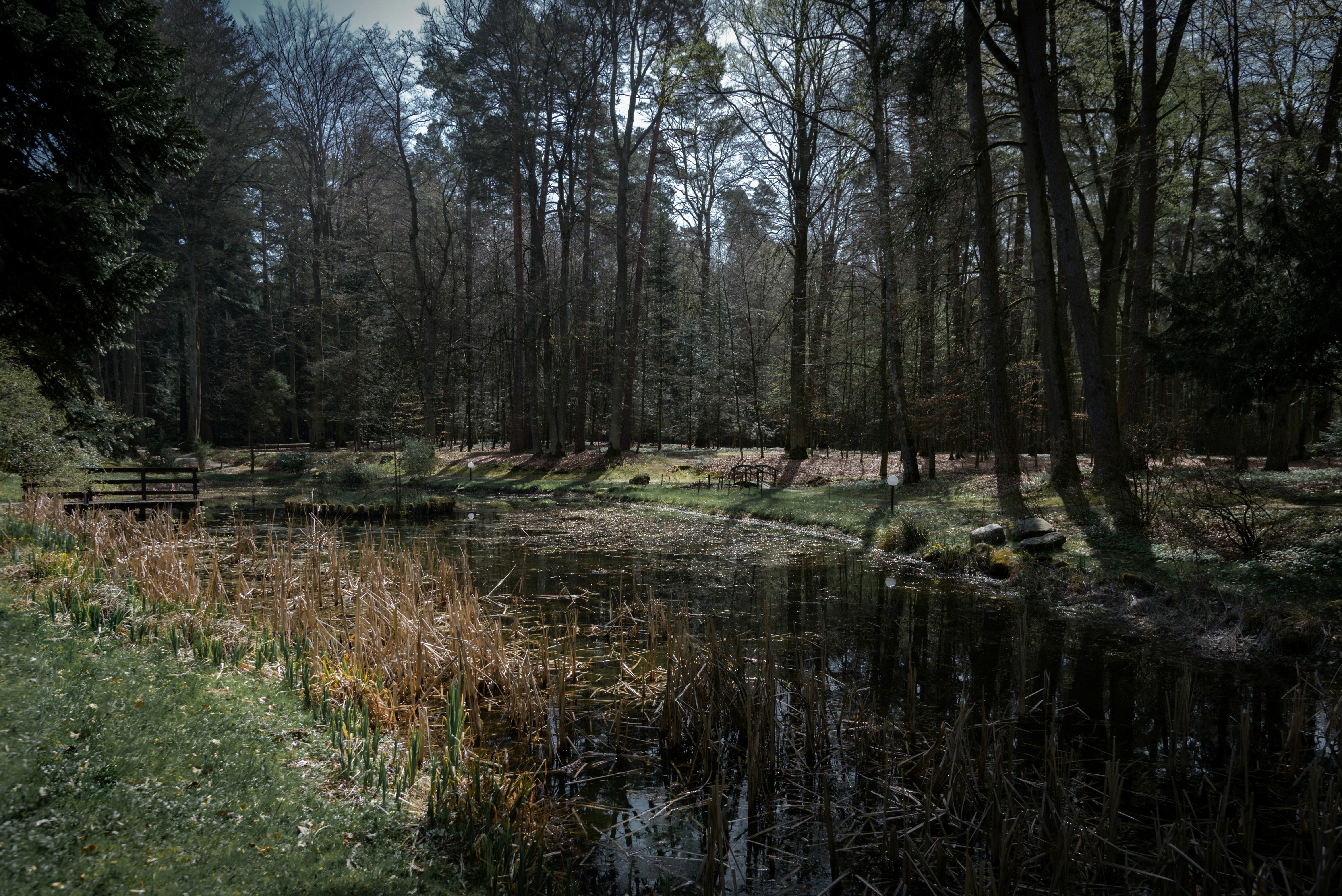Photo by malwinanogaj