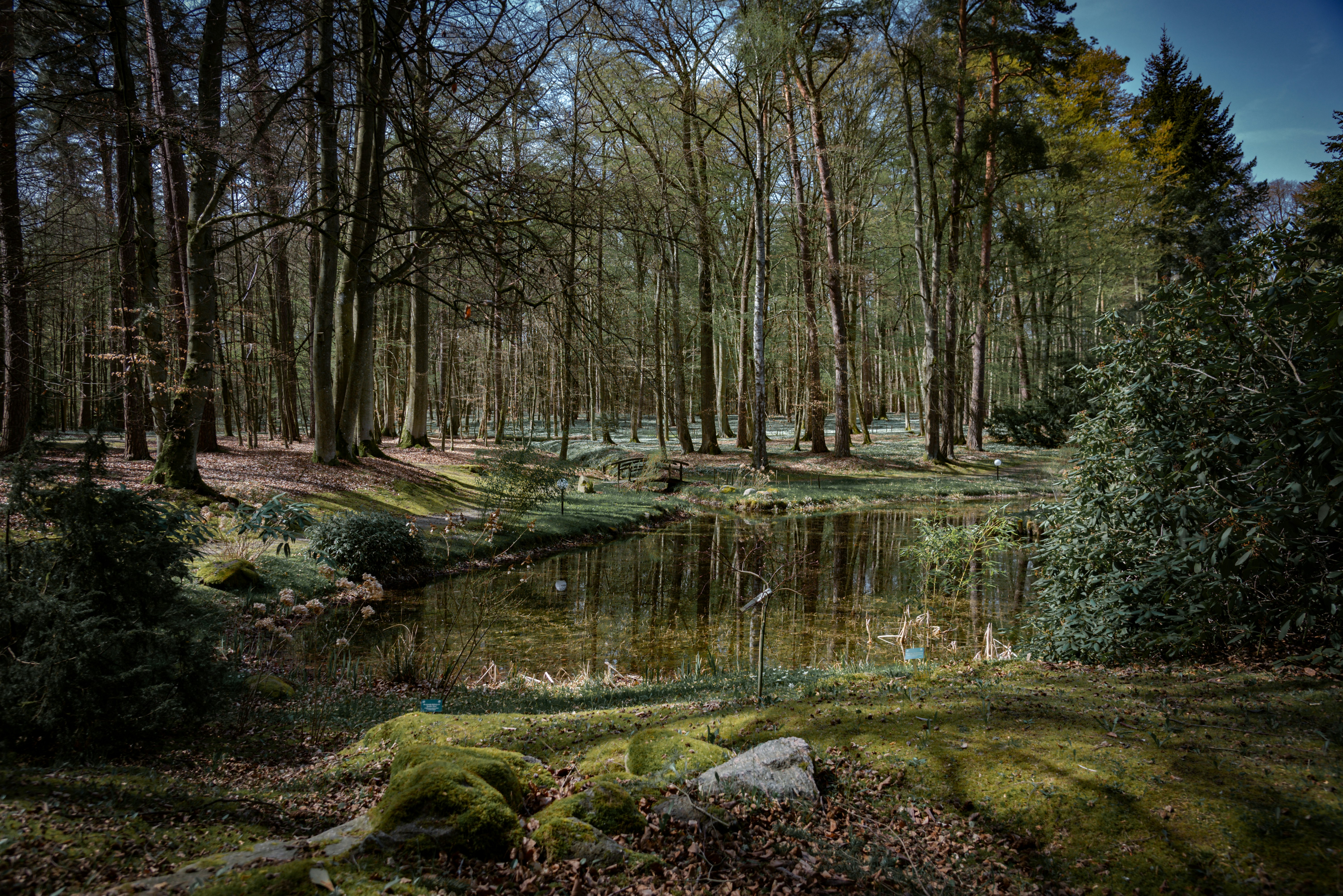 Photo by malwinanogaj