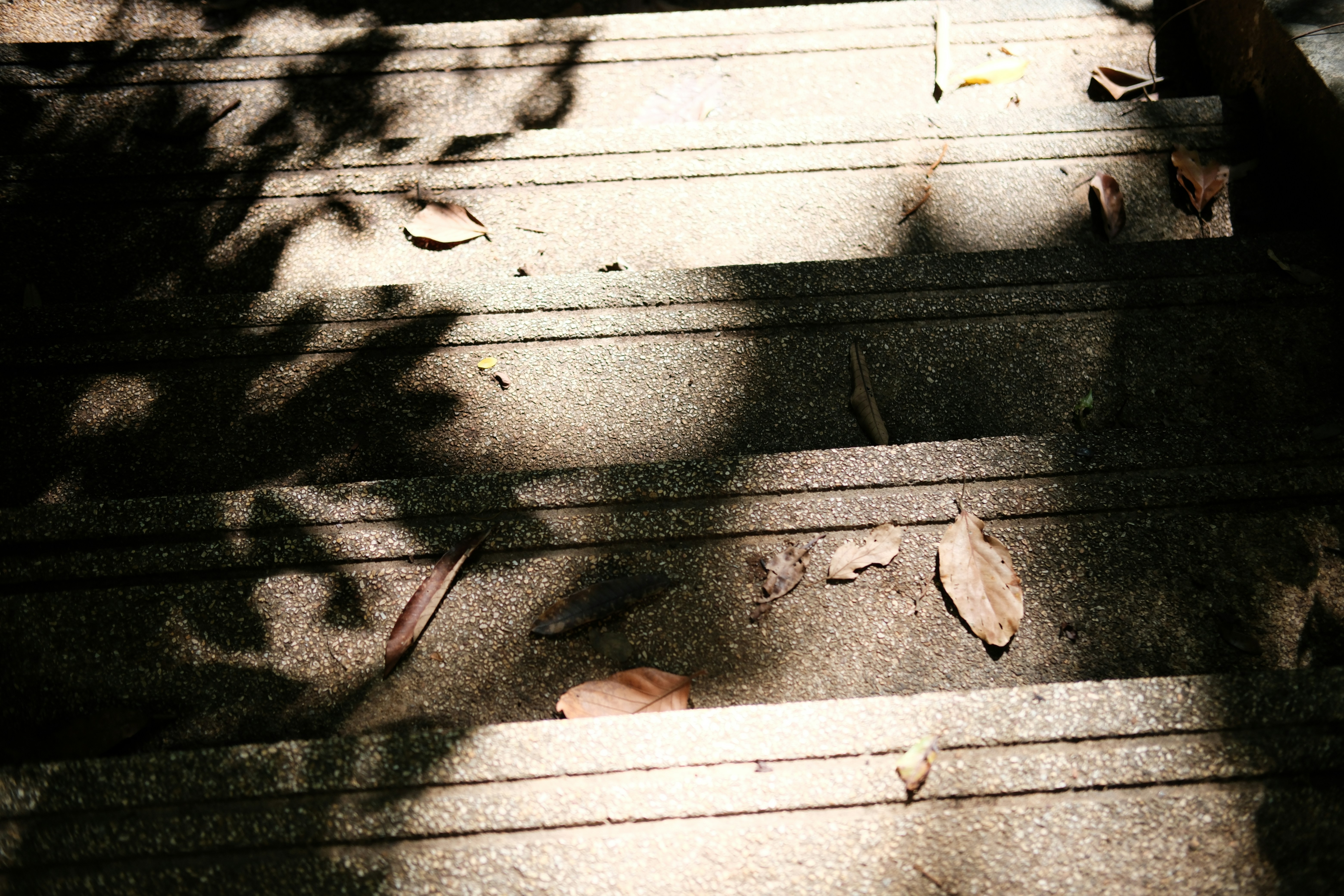 Photo by lastminuteboi