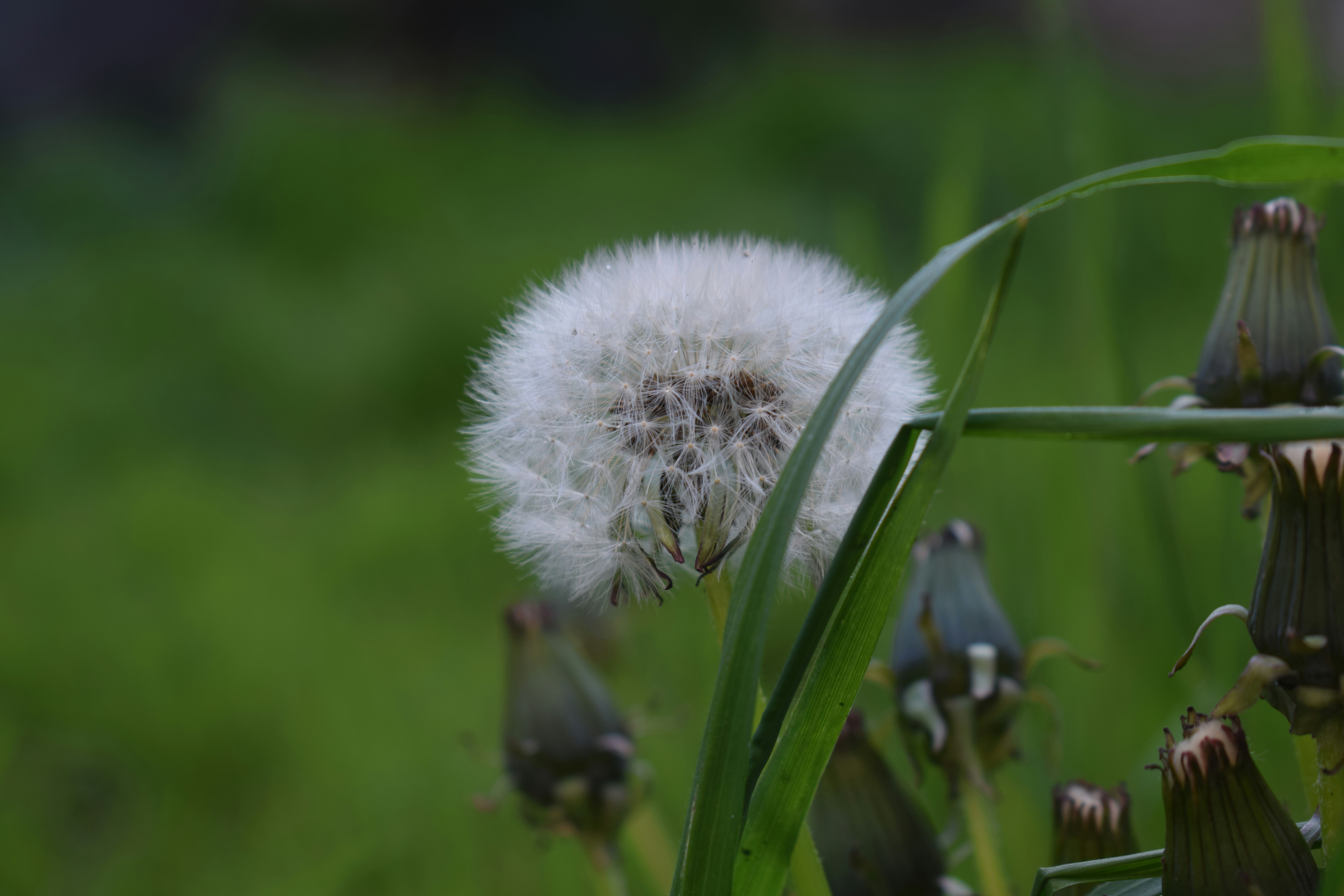Photo by simplicity