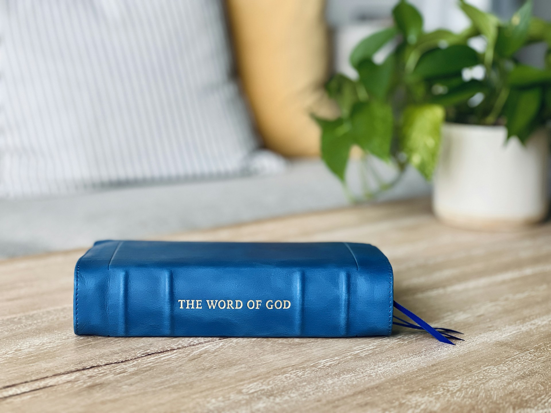 The blue bible lies on a wooden table.