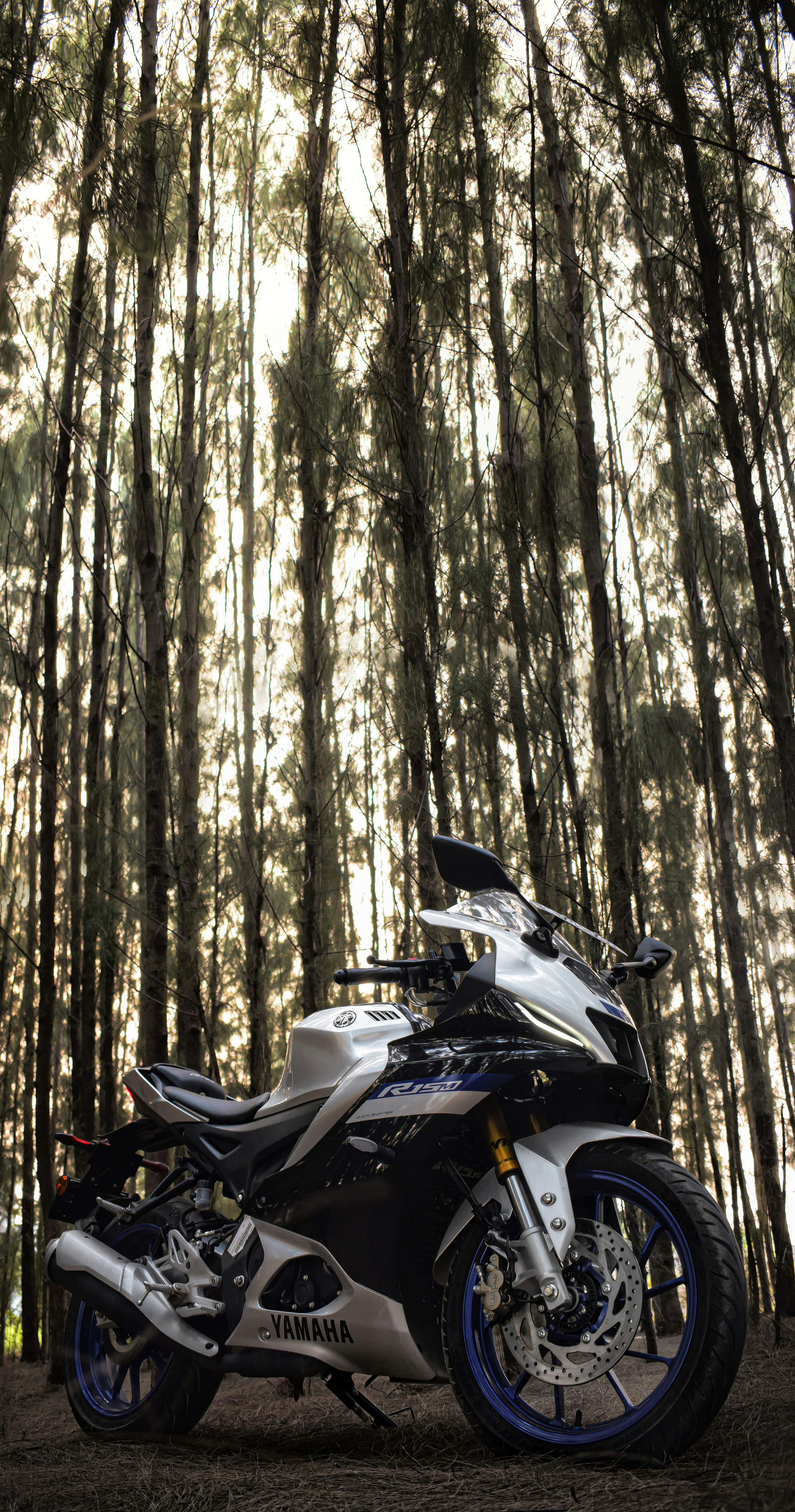 A motorcycle is parked in a forest.