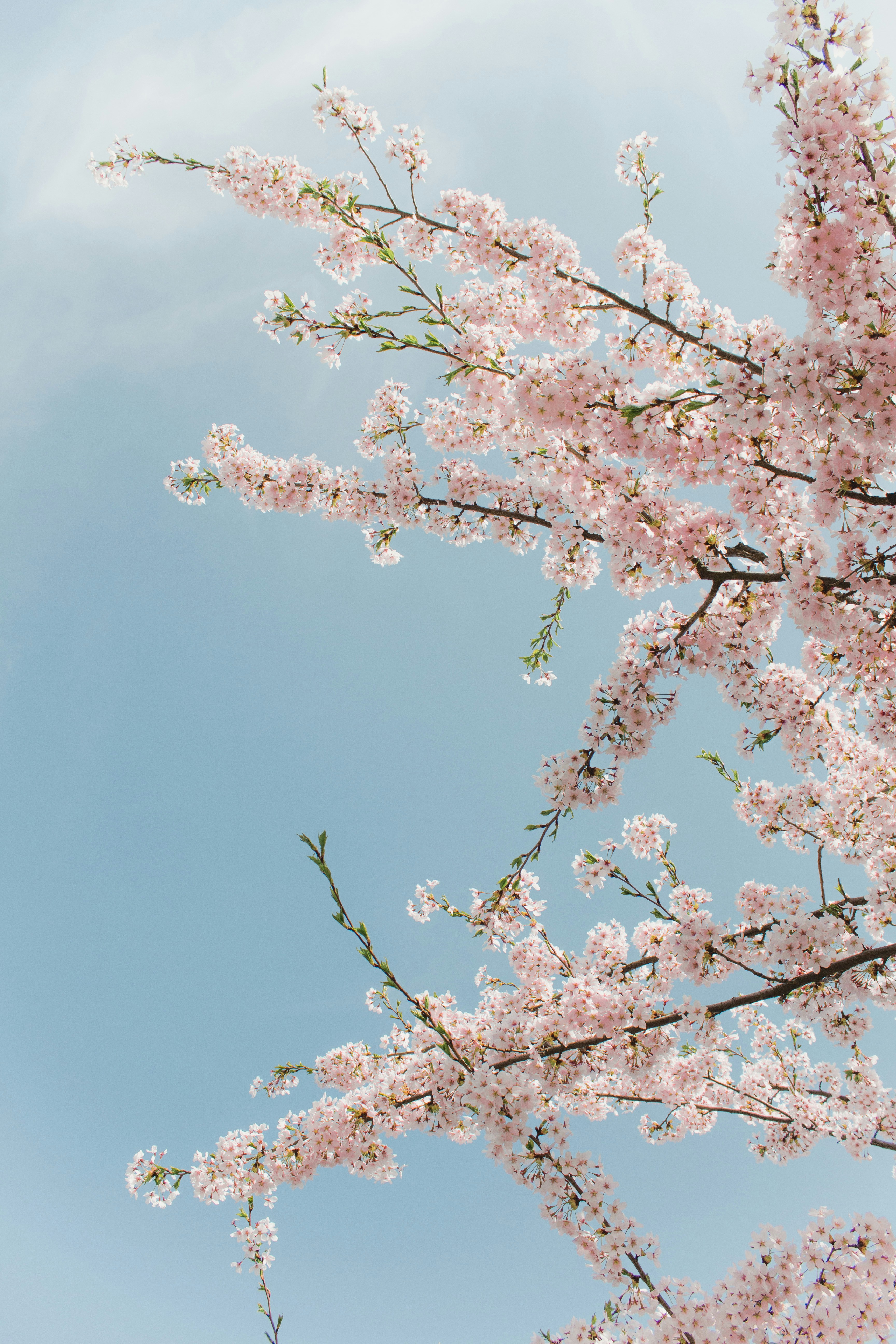 Photo by edgebounder