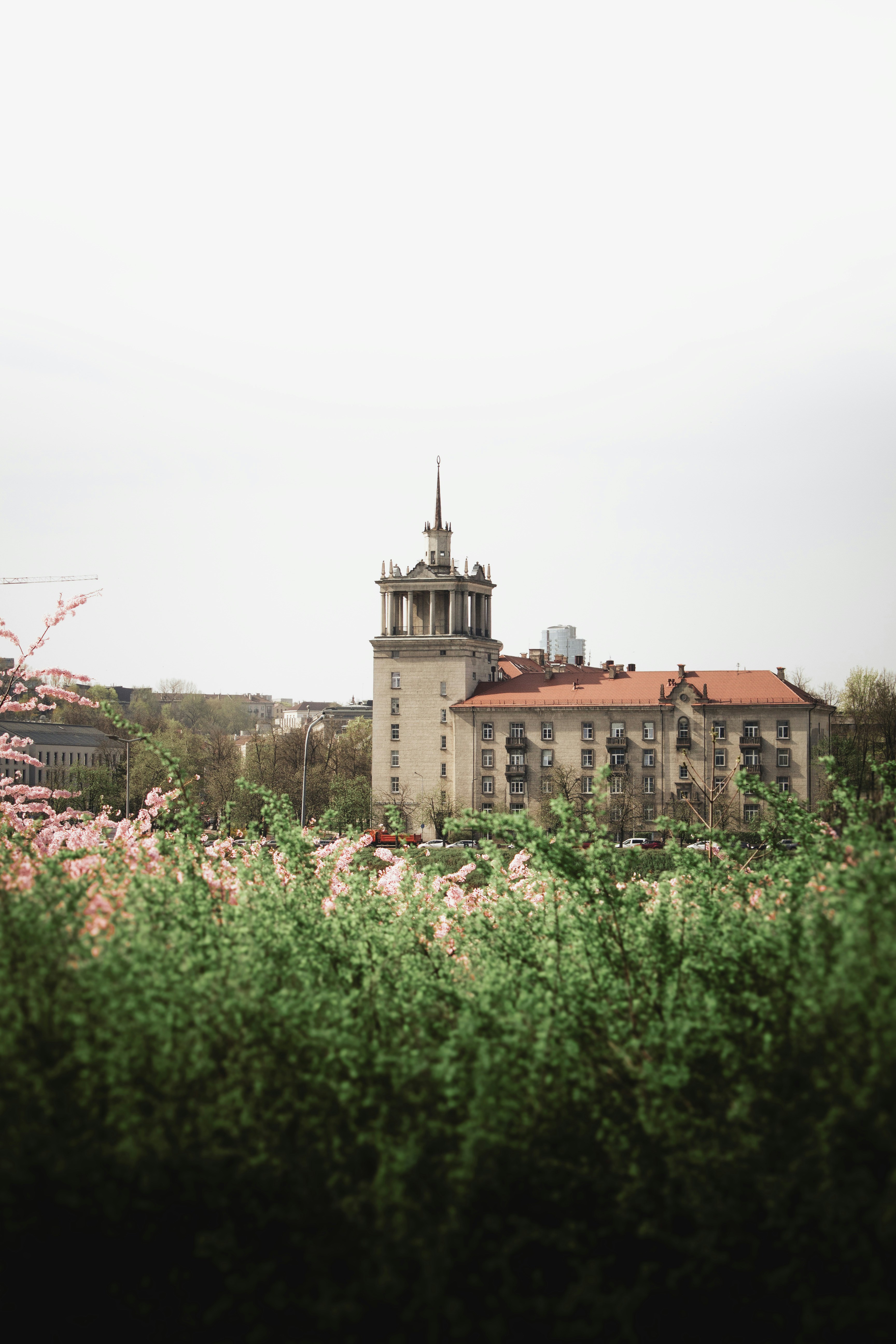 A tall building rises above green foliage.