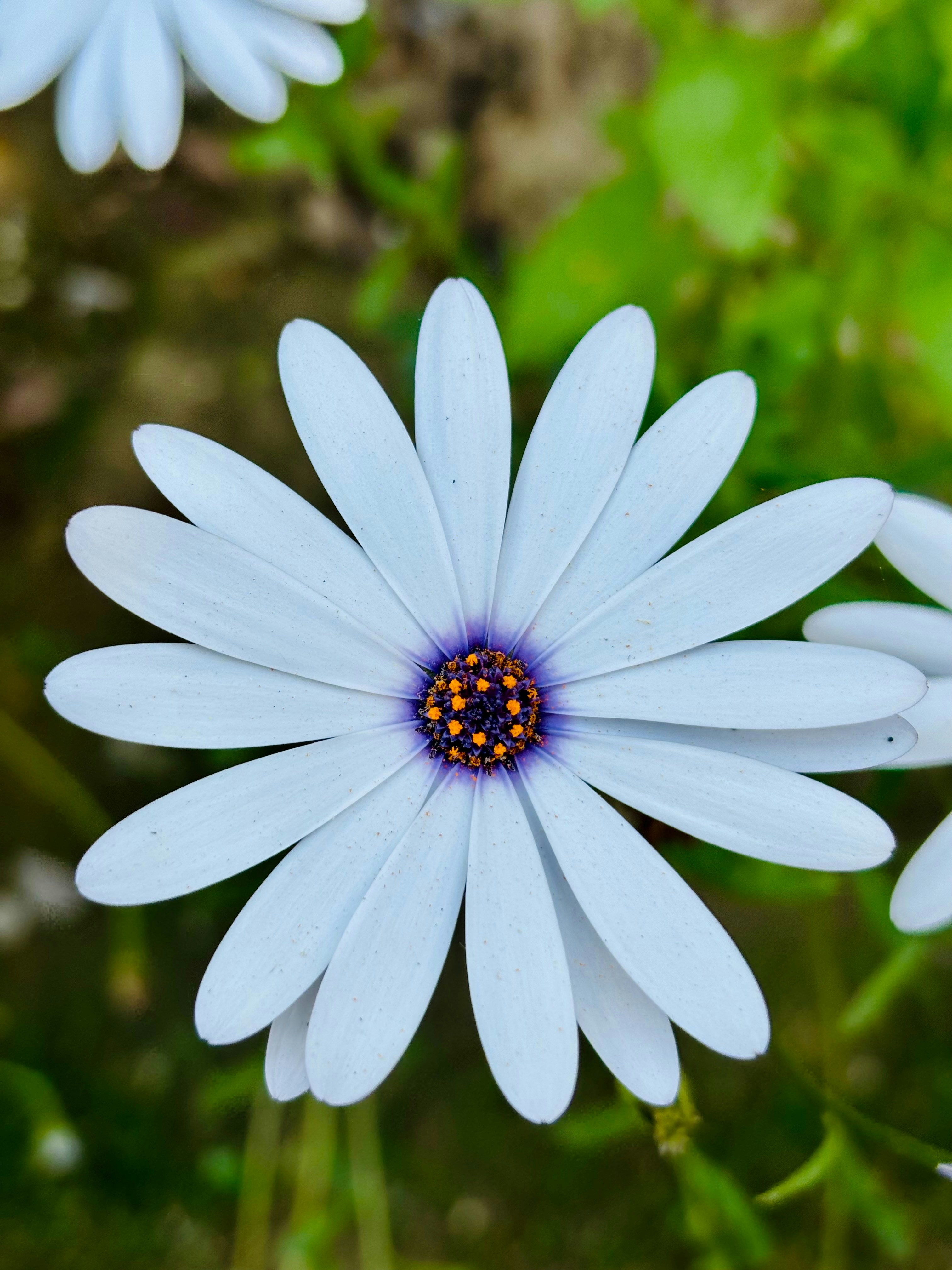 Photo by sapientartist