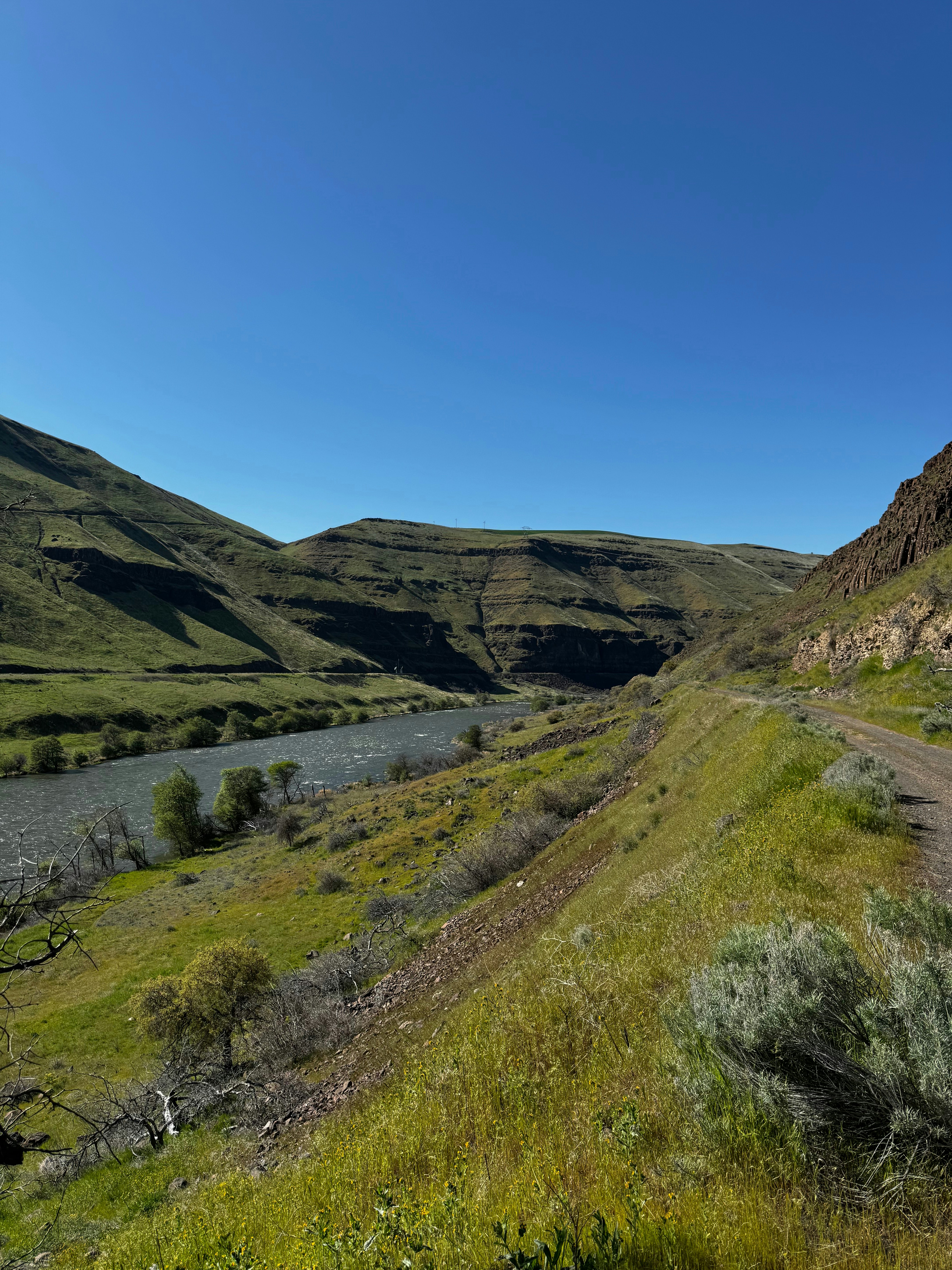 Photo by laitonbarbo