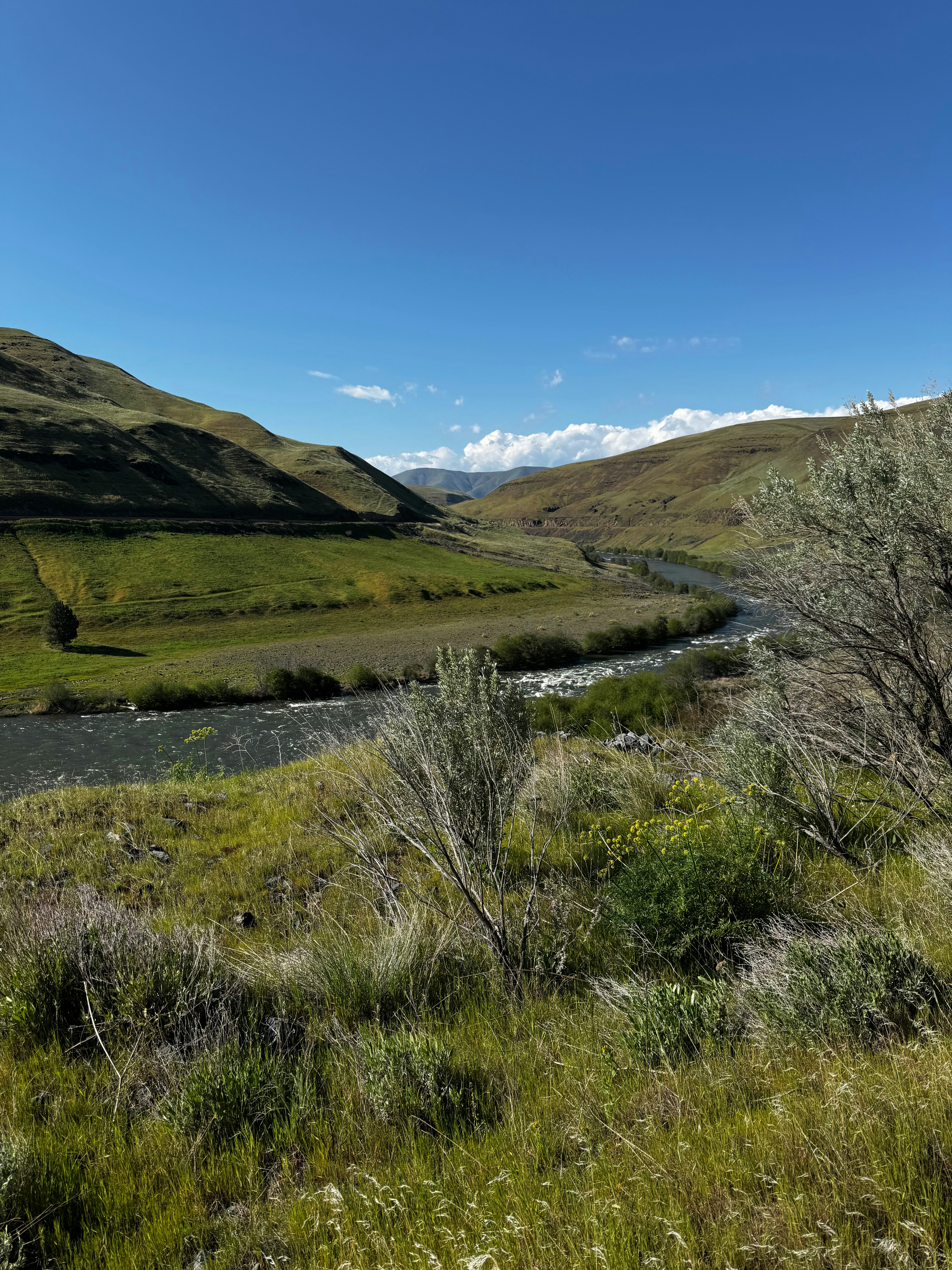 Photo by laitonbarbo