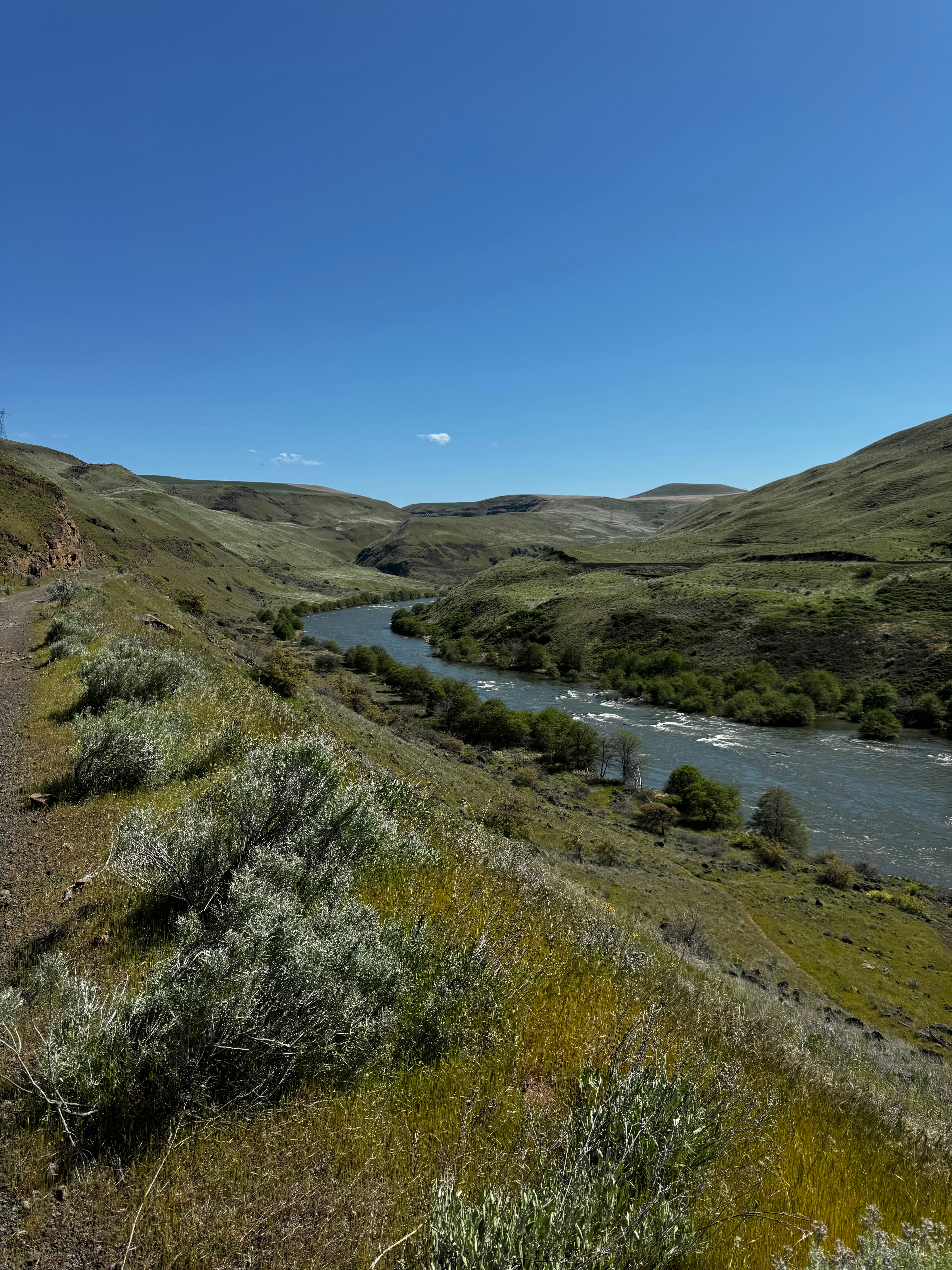 Photo by laitonbarbo